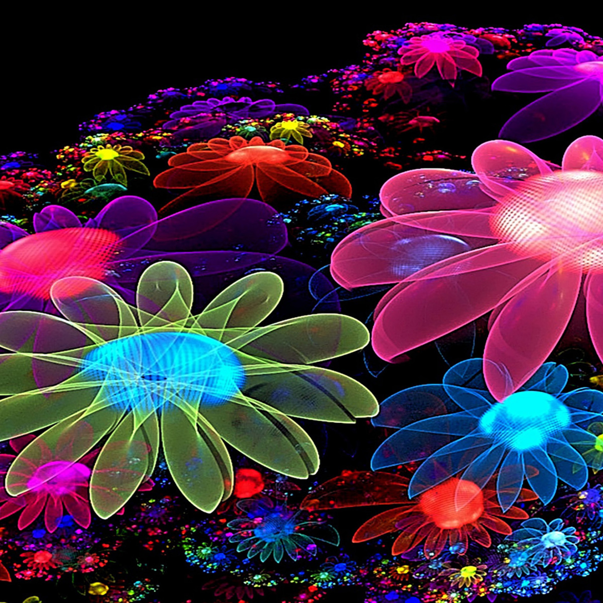 Most Popular In Flower Shapes Wallpaper