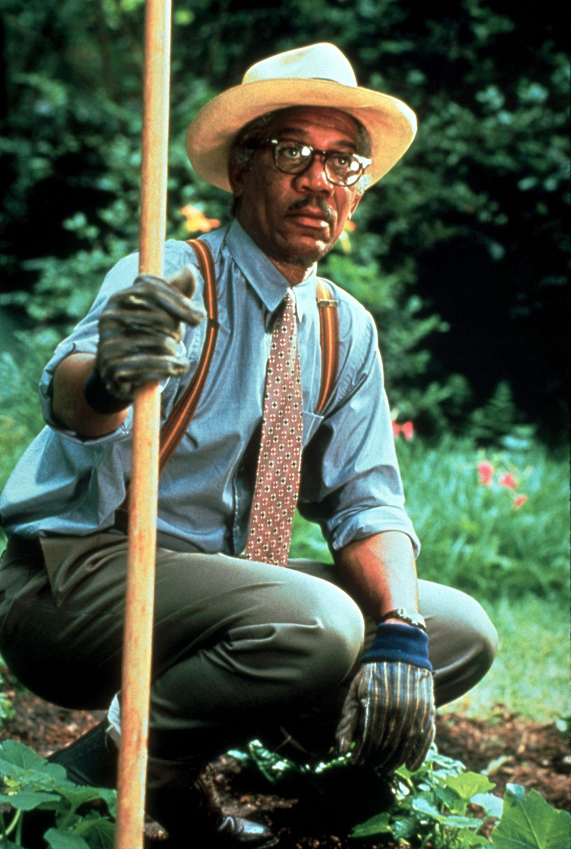 Driving Miss Daisy Wallpaper 17
