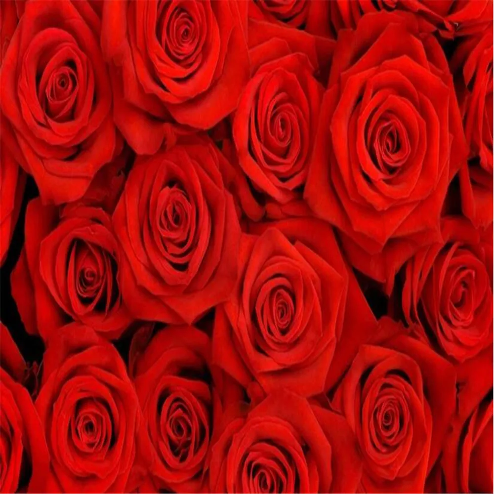 3D Stereoscopic Red Roses Mural