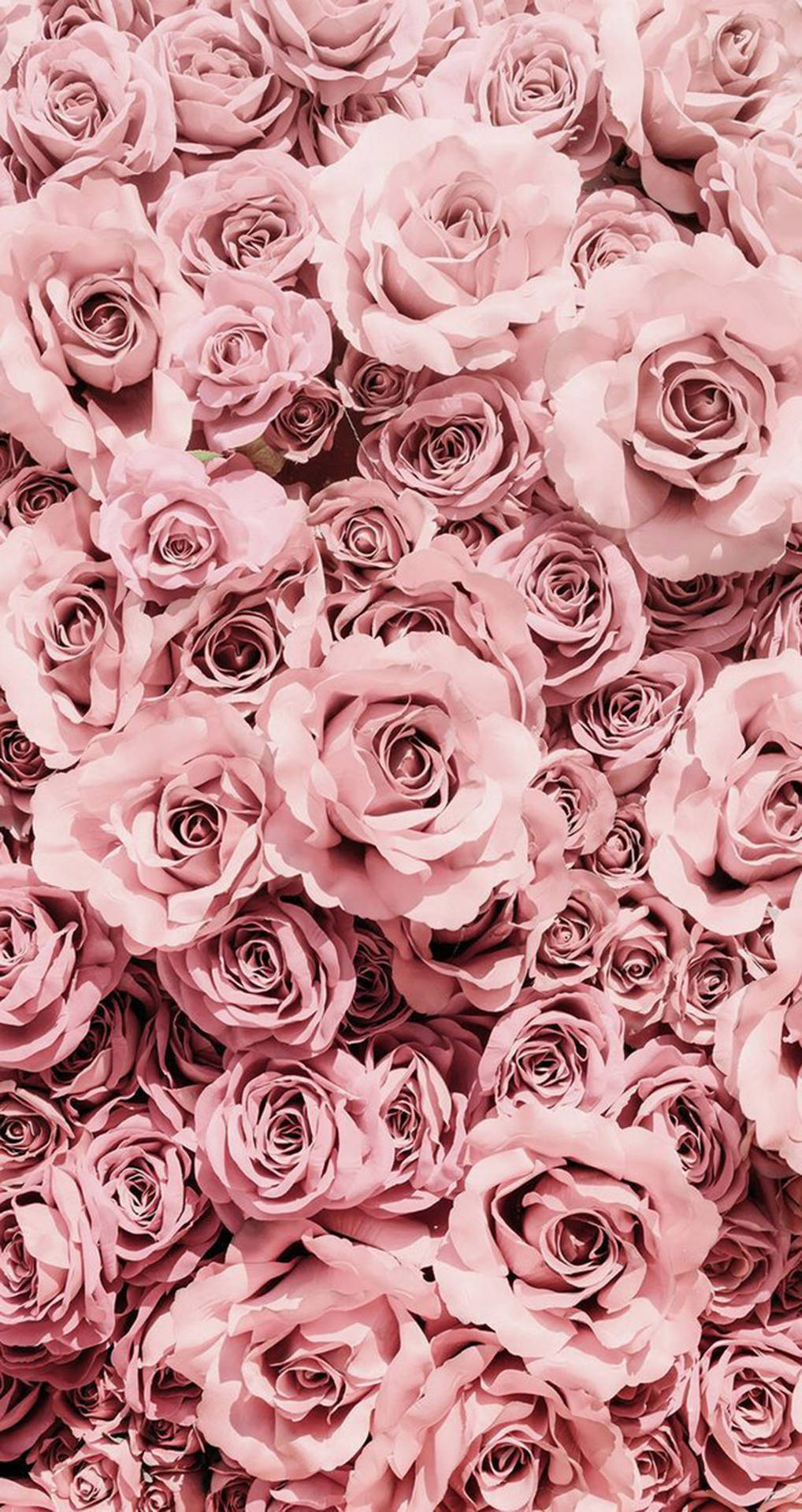 Pretty Flowers Rose Gold iPhone