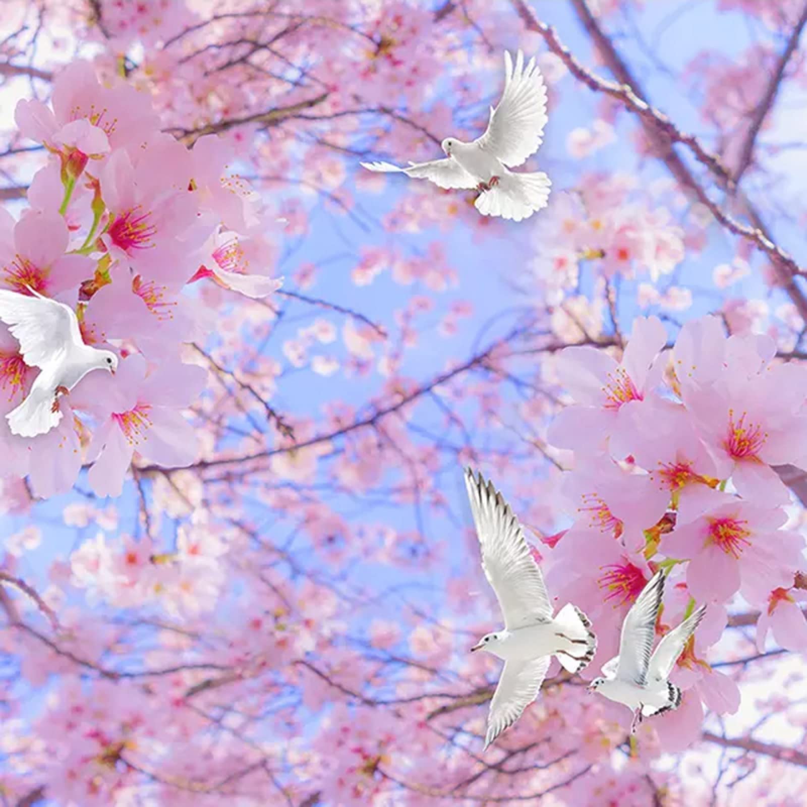 Modern Wallpaper Art Beautiful Romantic