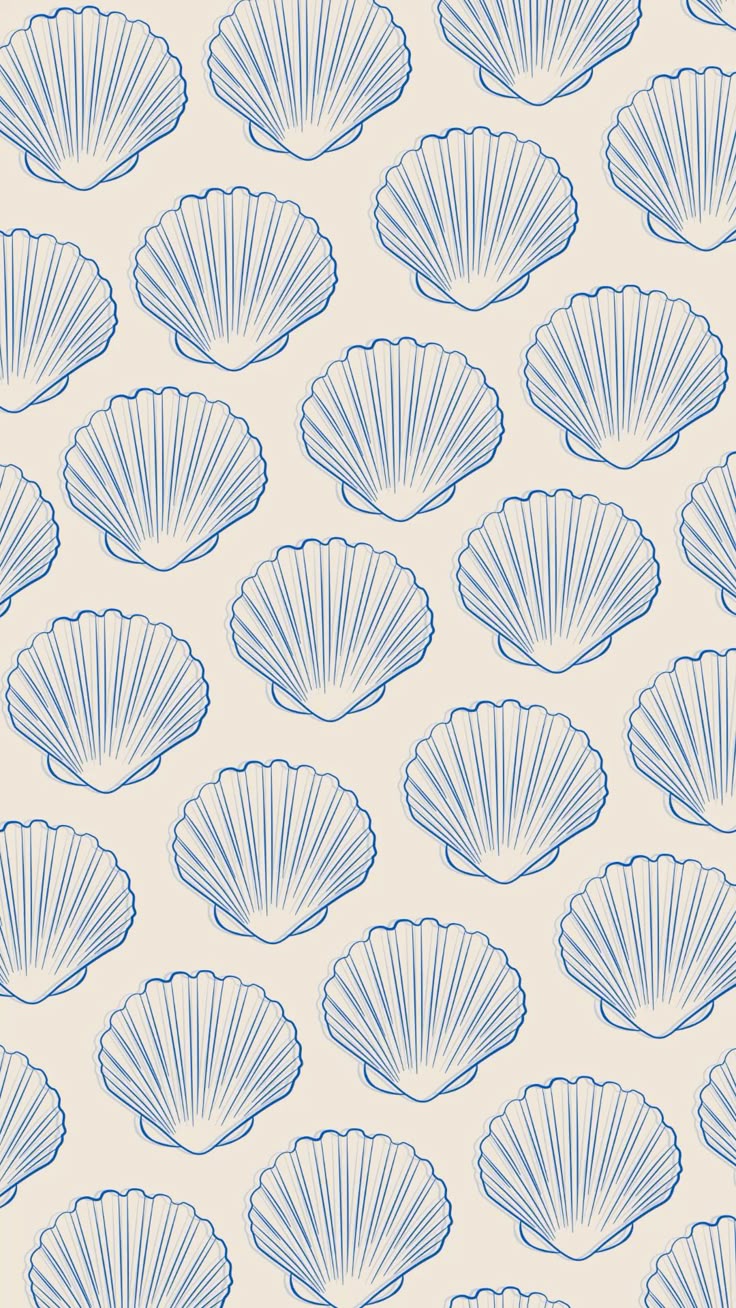 Beach Seashell Aesthetic Wallpaper
