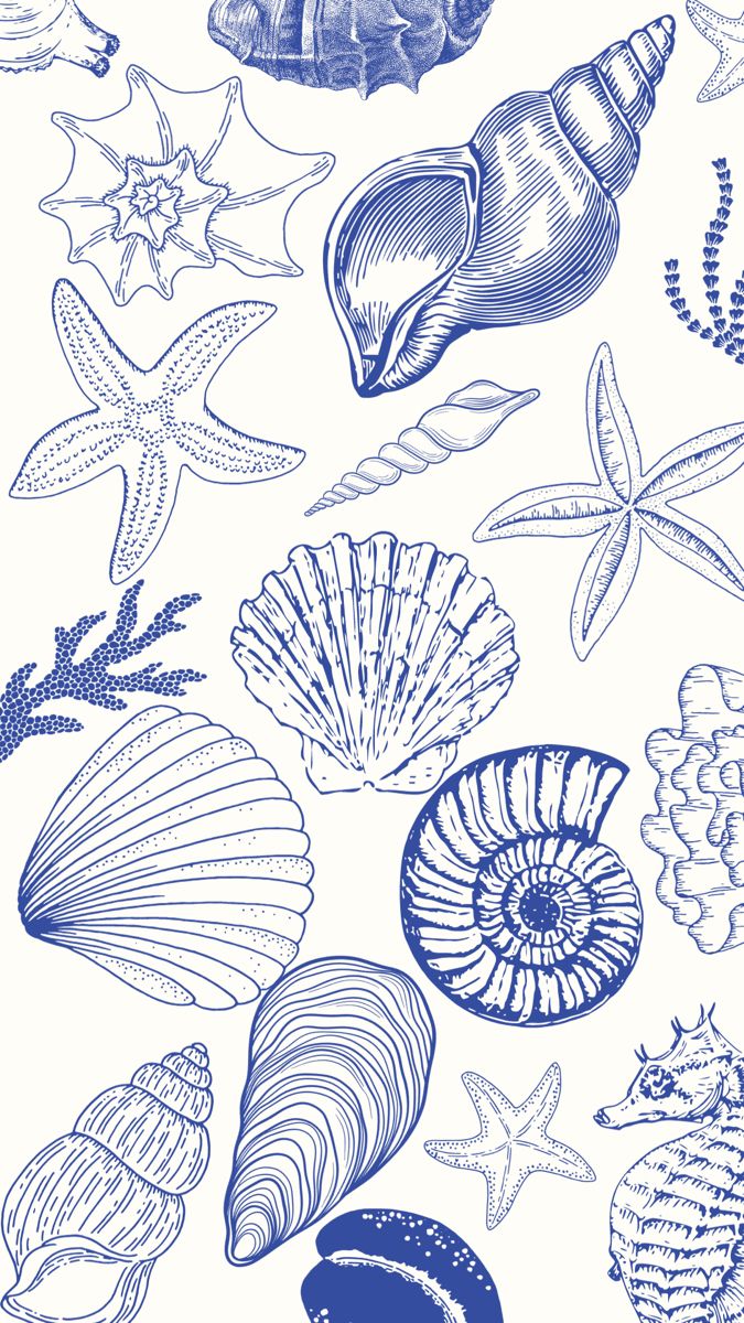 Seashell print phone background