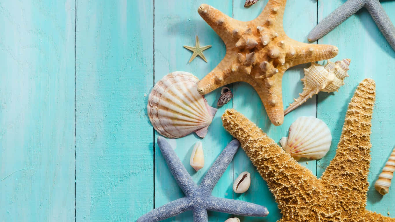 Starfish Wallpaper