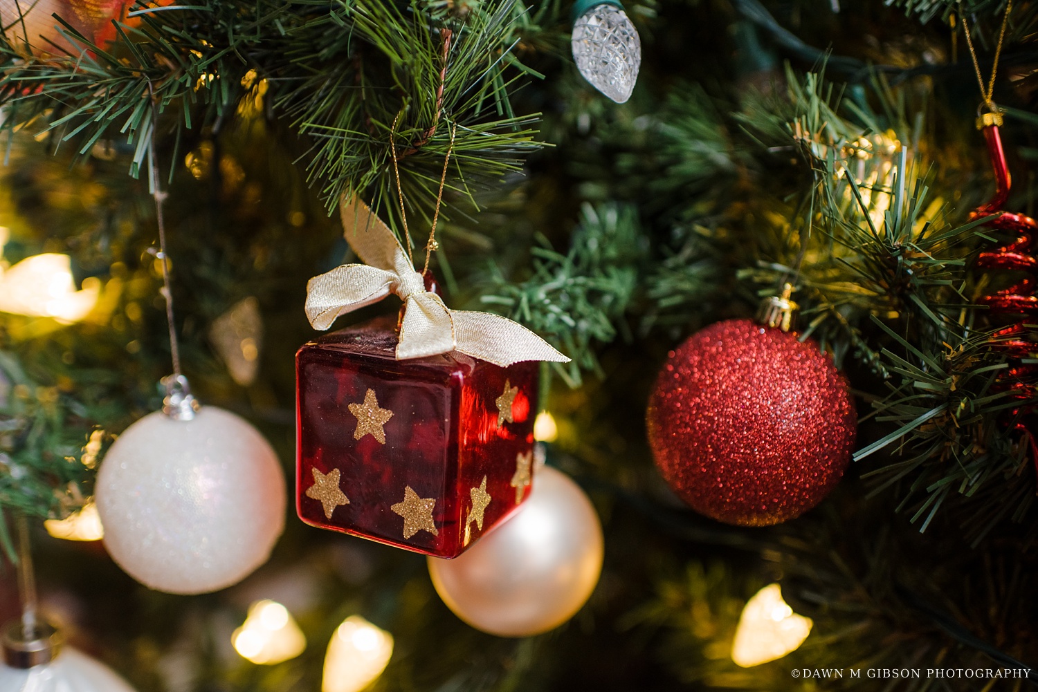 Crowley Webb & Praxis Celebrate the end