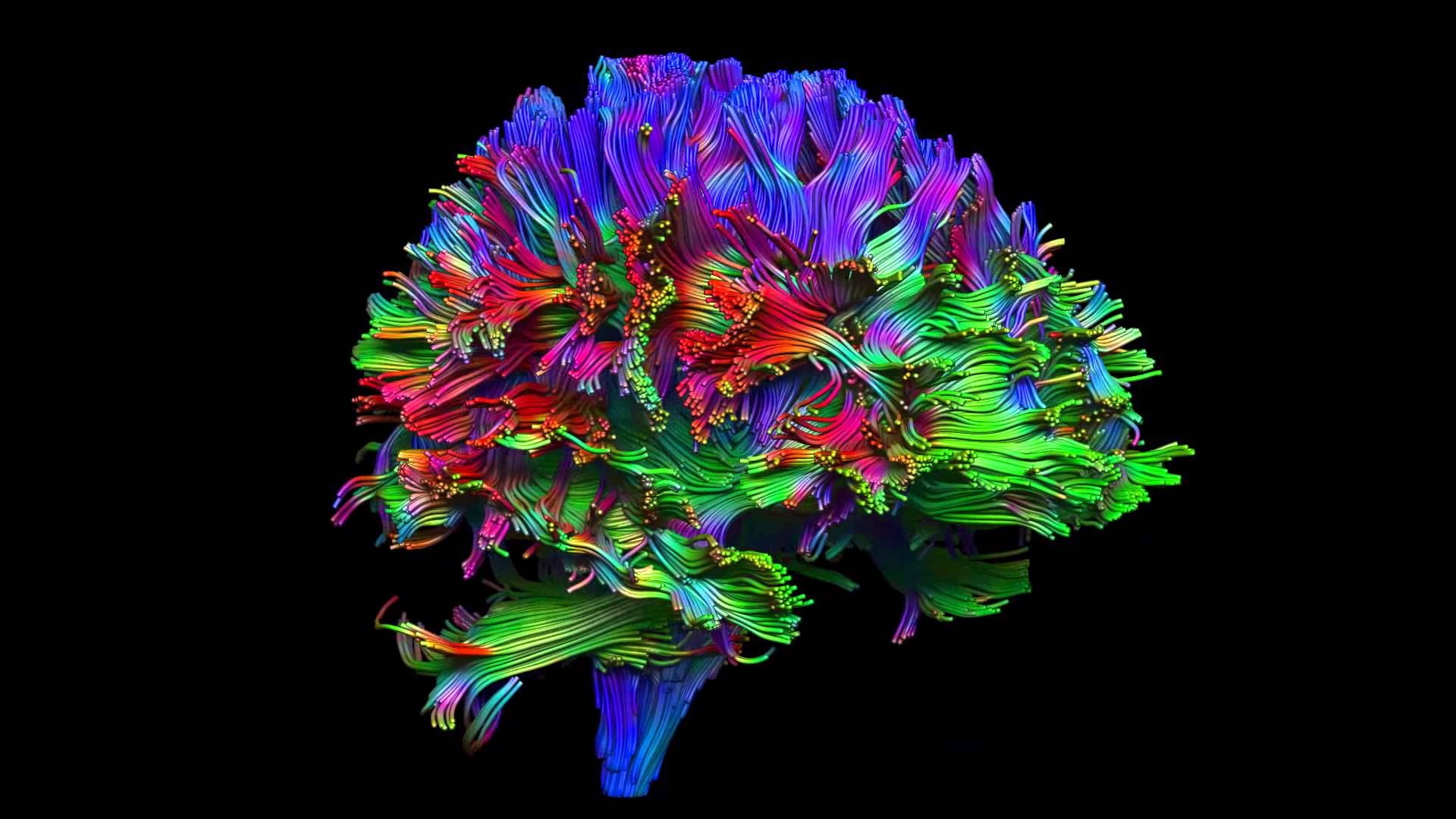 Neuroscience Wallpaper, HD