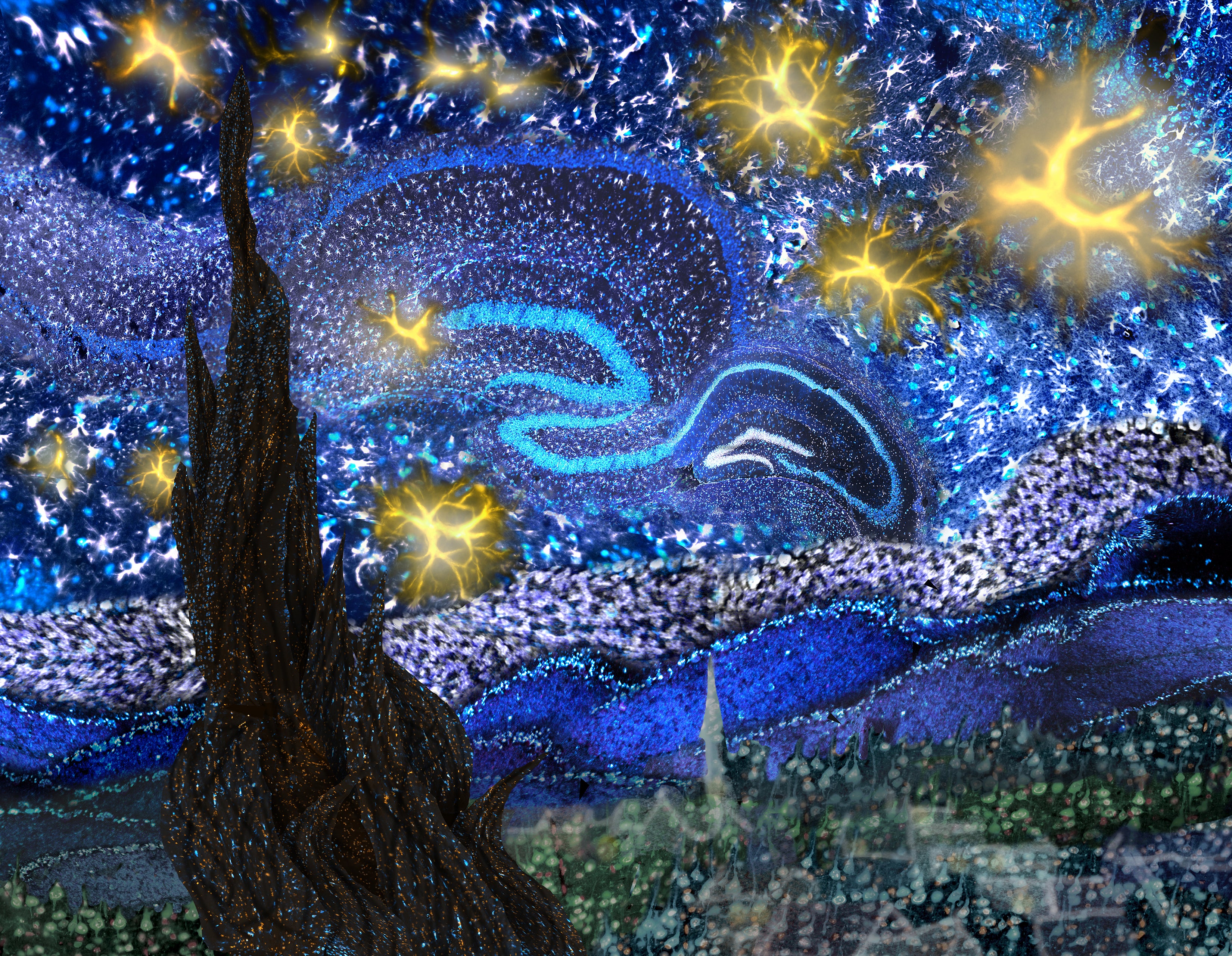 Art of Neuroscience Competition