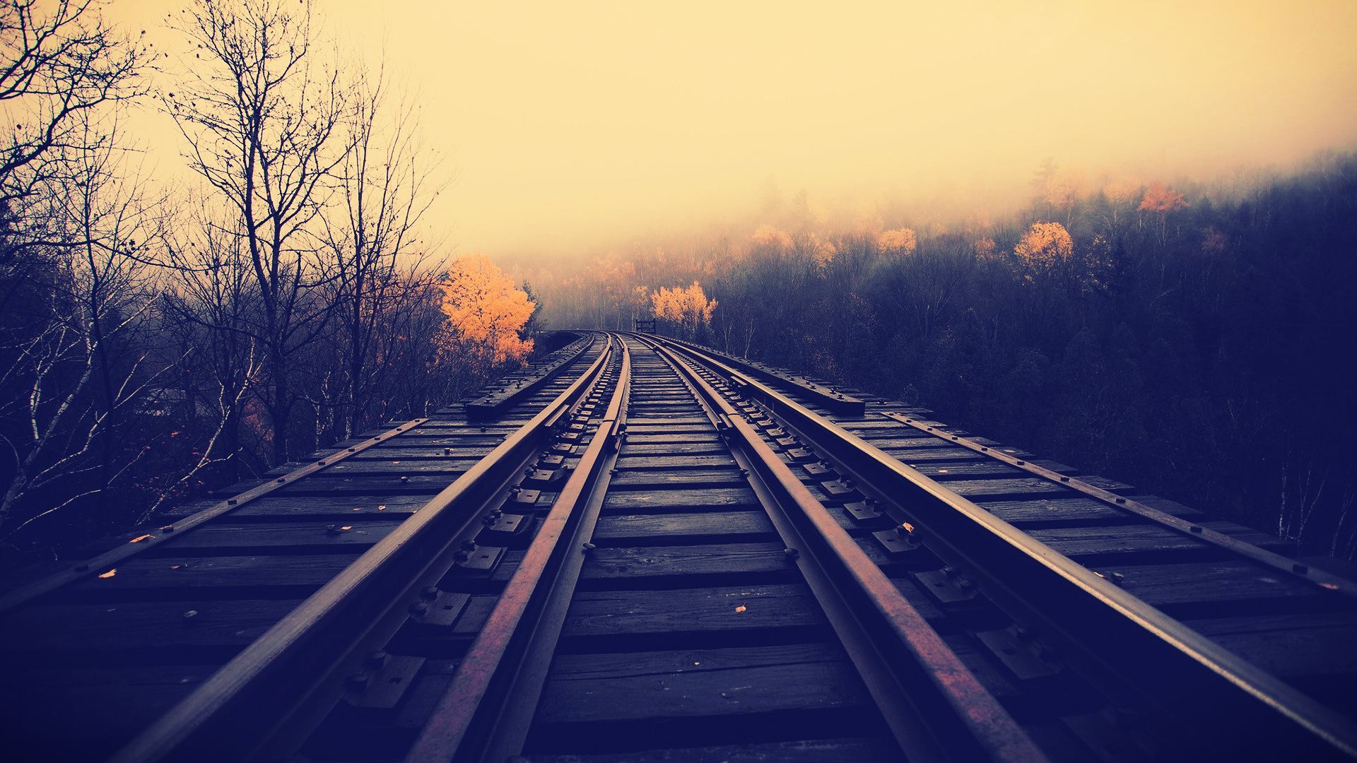 Best Ever Wallpaper Desktop Free Download