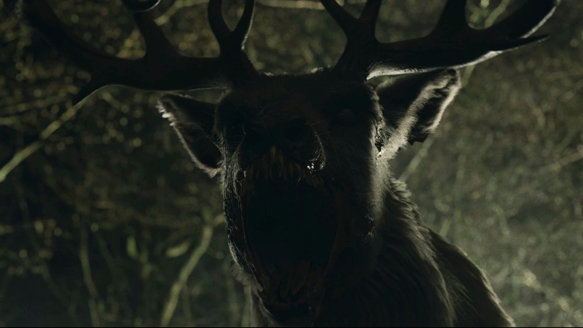 The Reckoning, an upcoming horror movie