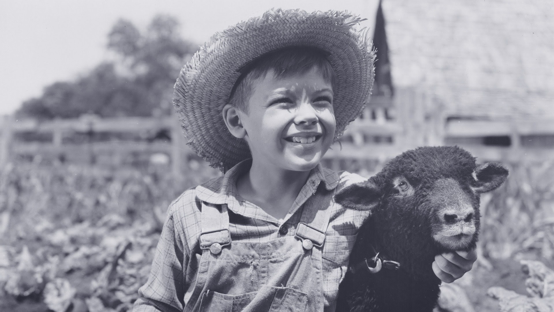 So Dear To My Heart on Google Play