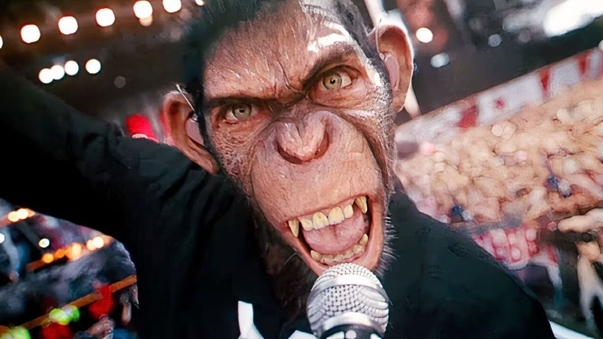 Robbie Williams' Musical Chimp Dazzles