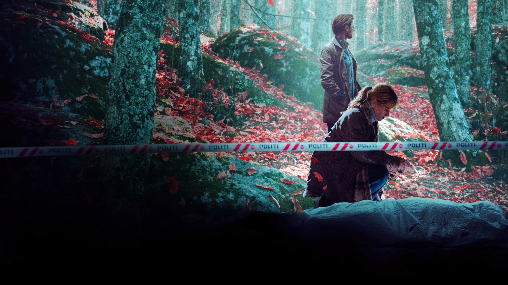 The Chestnut Man TV Series 2021