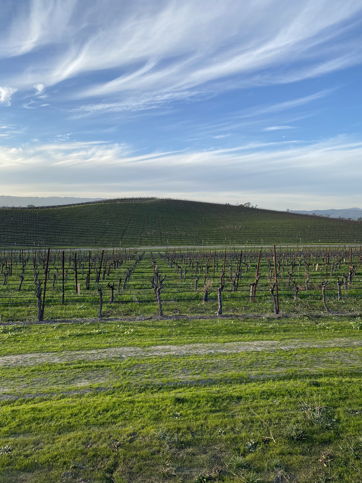 Microsoft XP wallpaper IRL