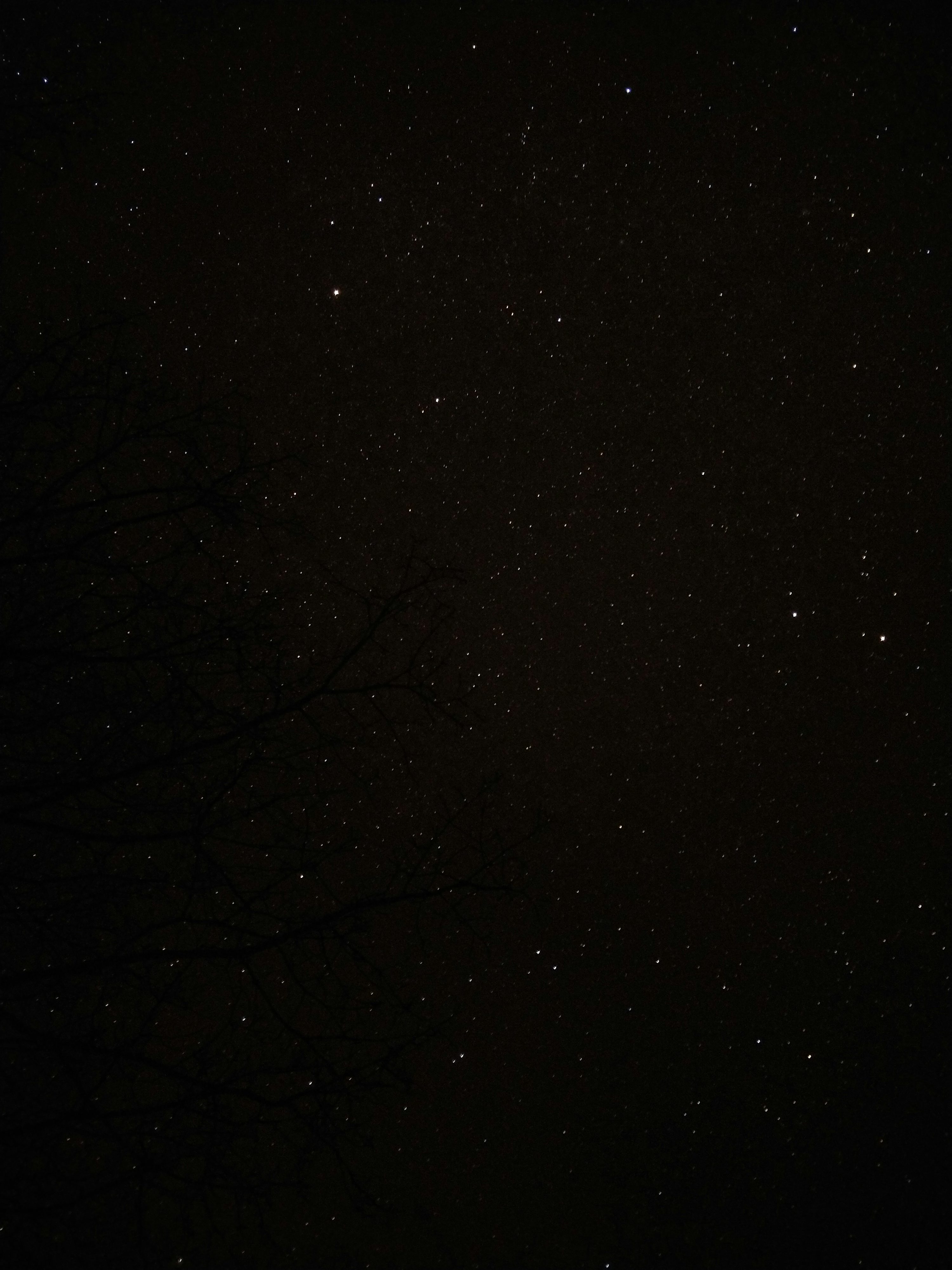 OLED Wallpaper: Free HD Download [HQ]