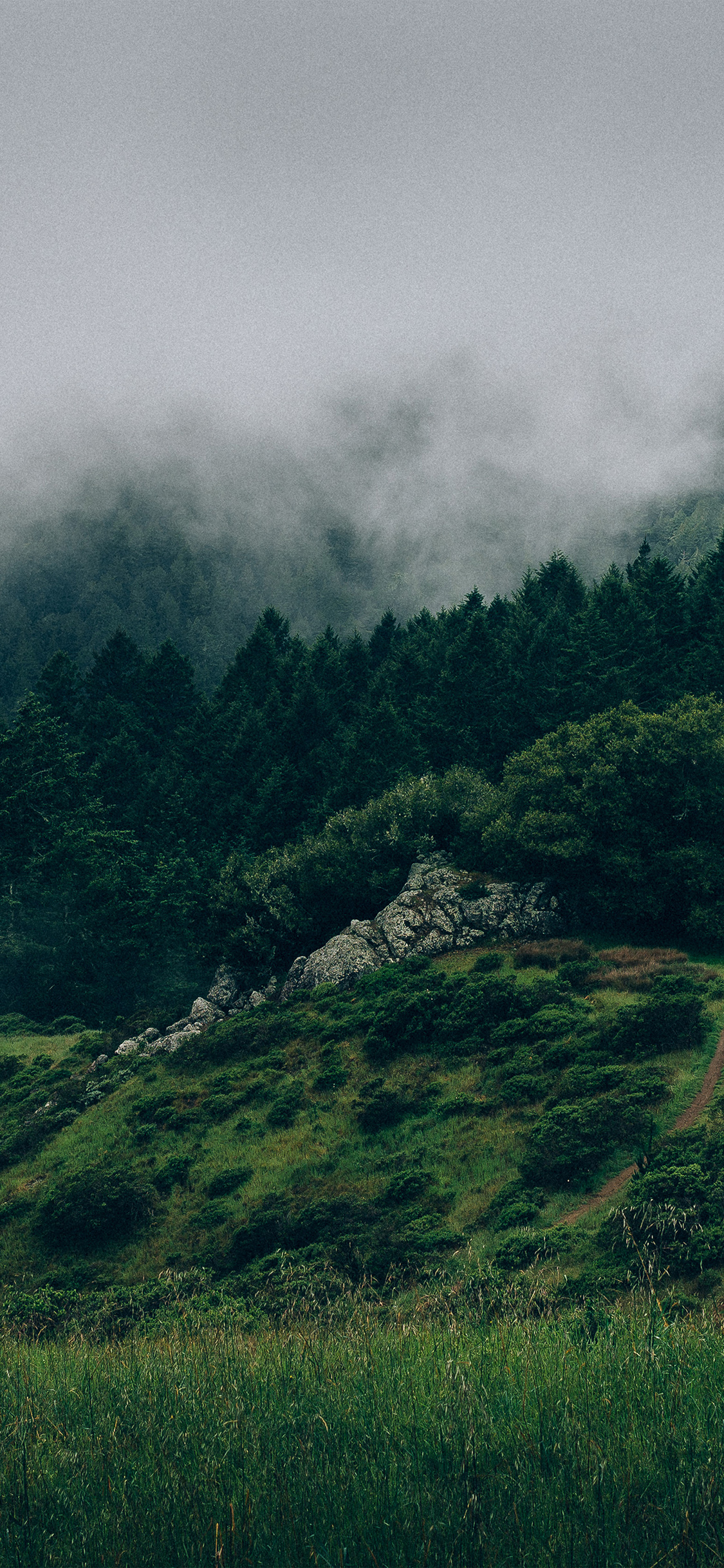 Nature Mountain Green