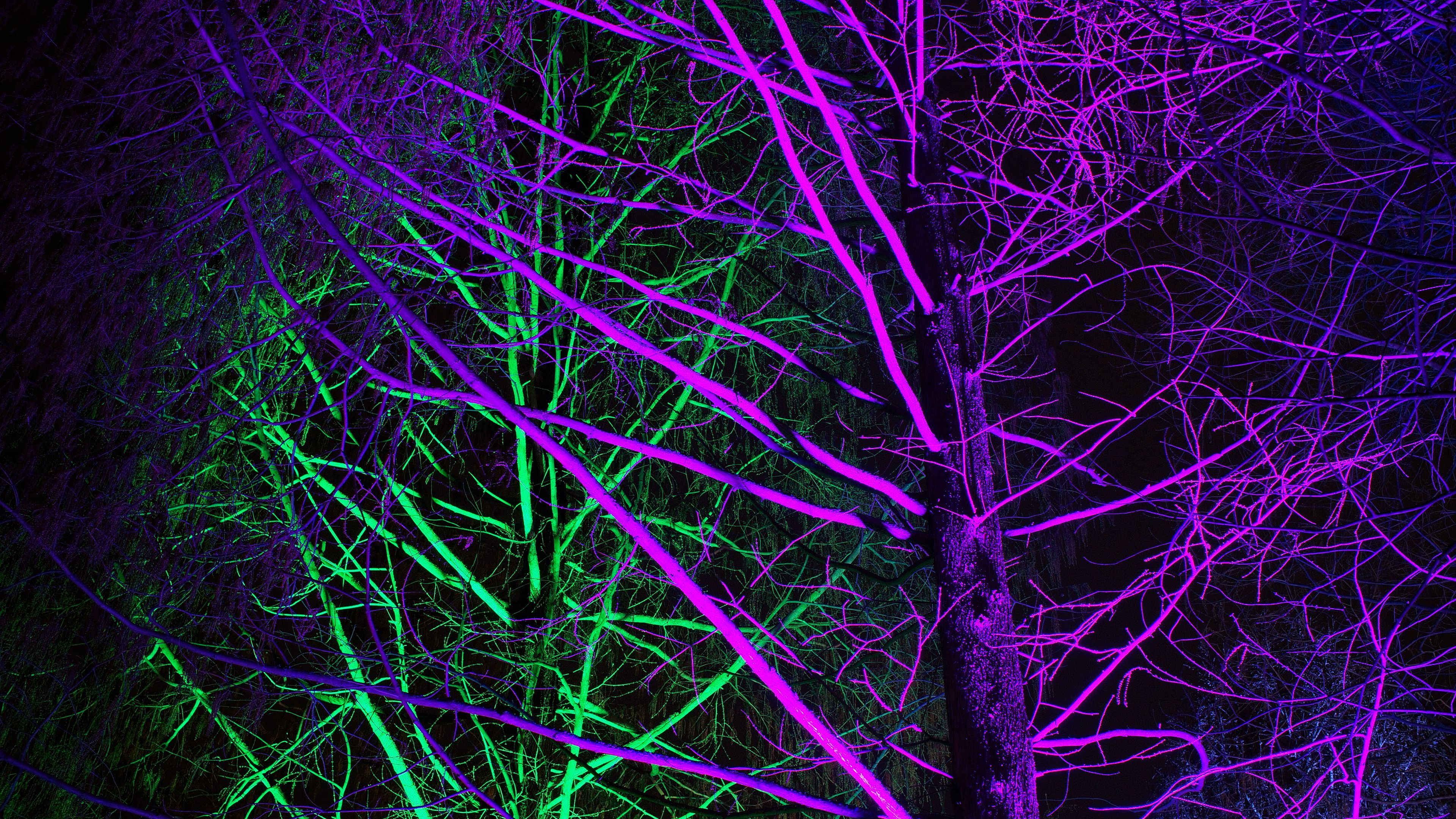 trees, backlight, neon, purple, green