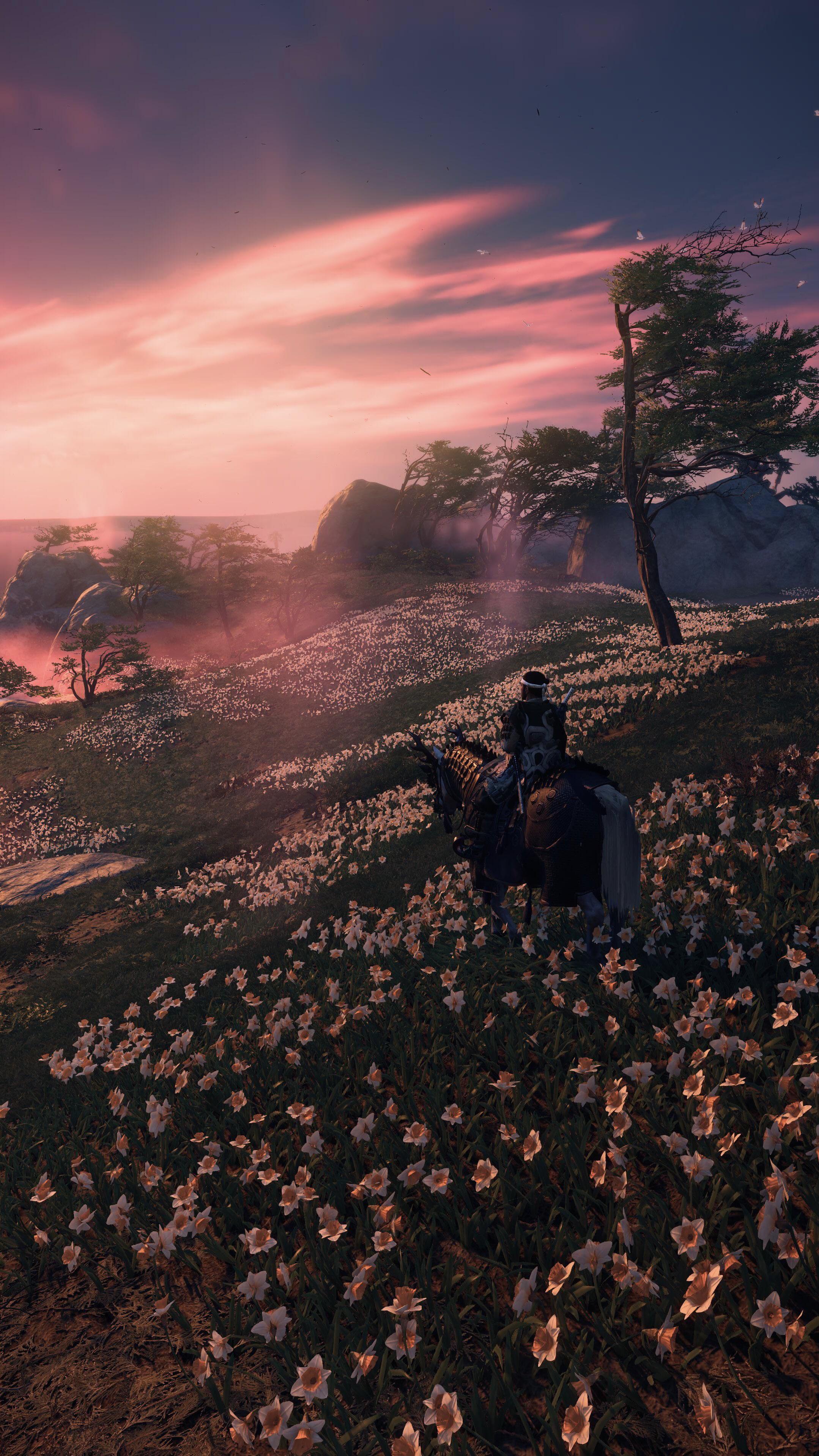 4k wallpaper for phone