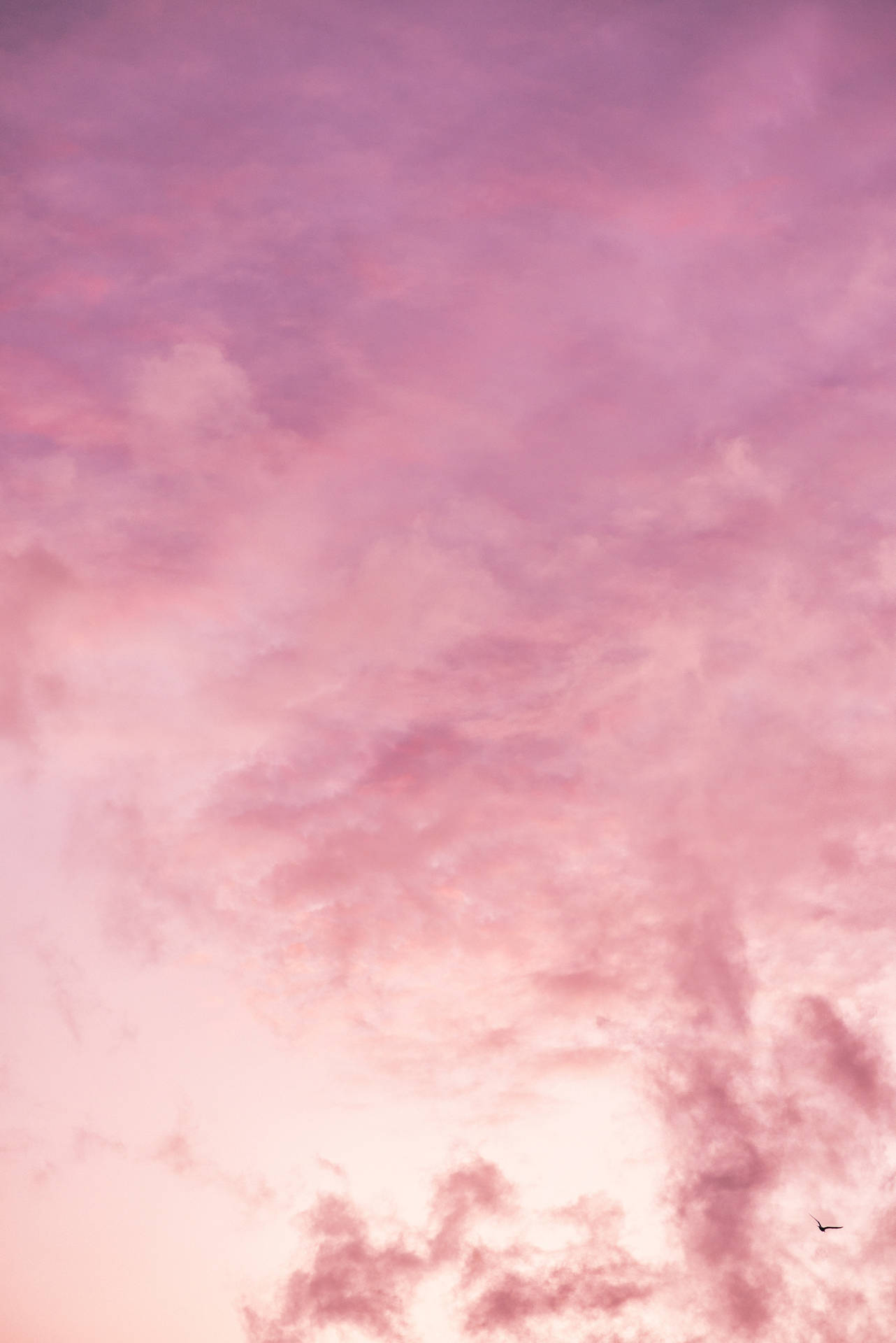 Download free Pink Cloud iPhone