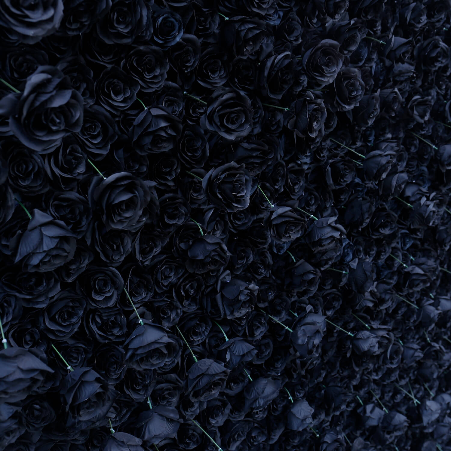Black Rose Flower Wall Backdrop