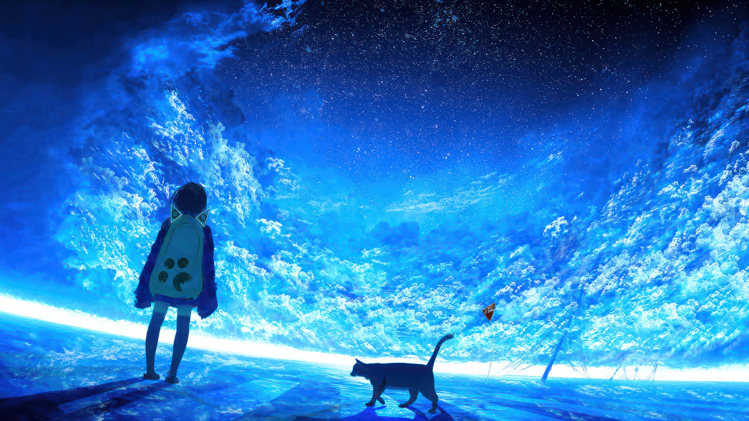 Anime Girl Cat Night Stars Sky Clouds