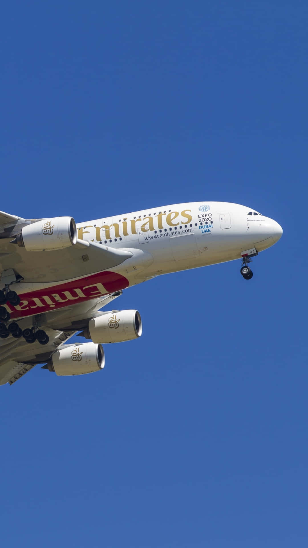 Download A Large Jet Flying