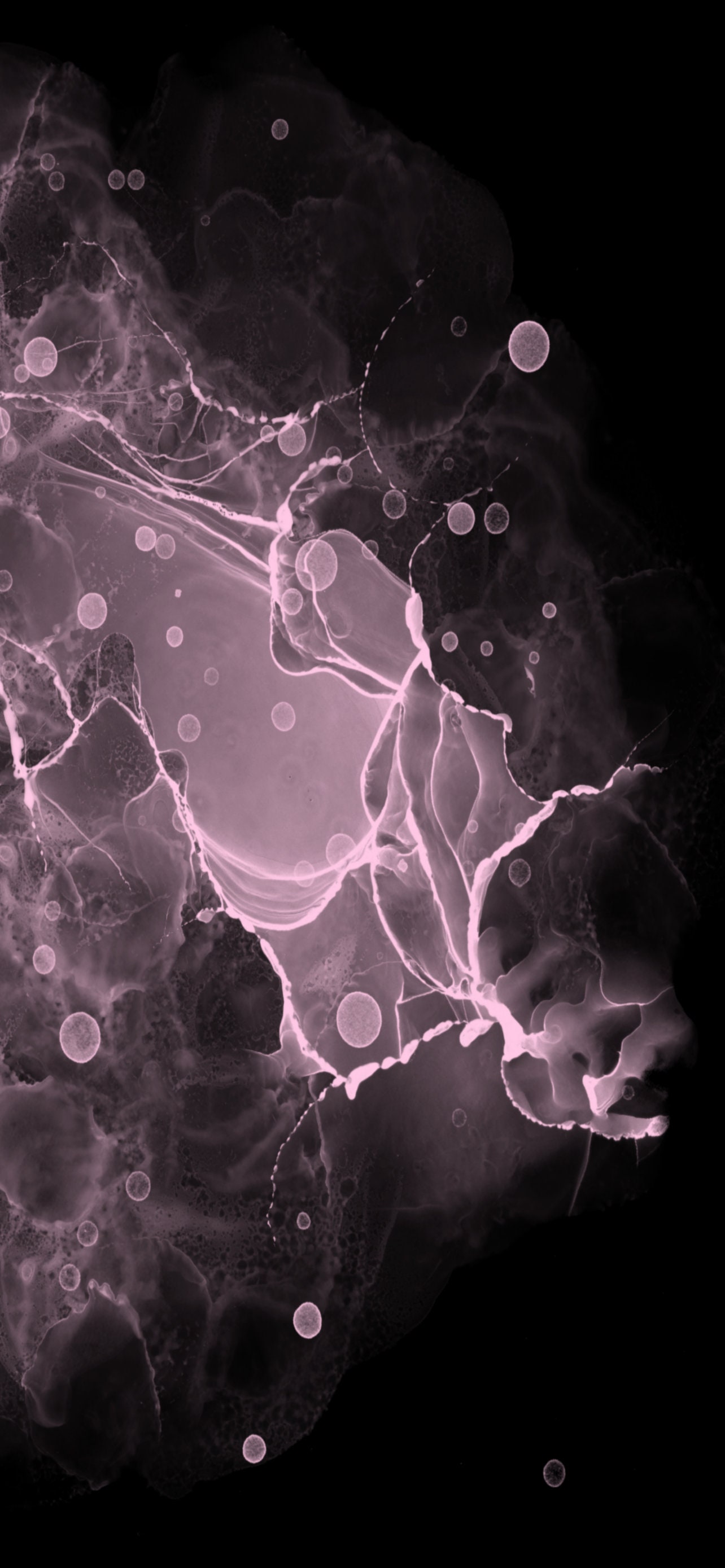 Black Pink Modern iPhone Wallpaper