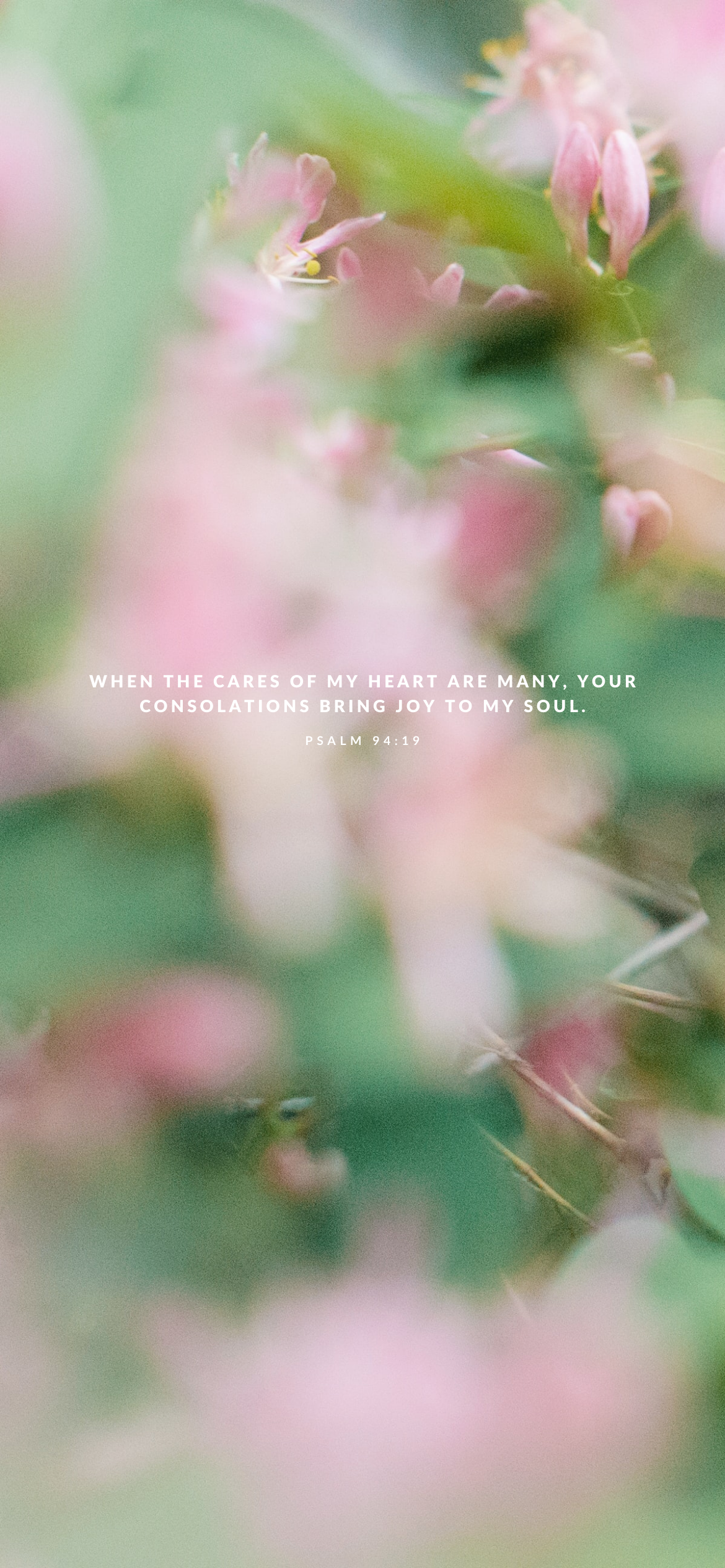 June Background: Free Download