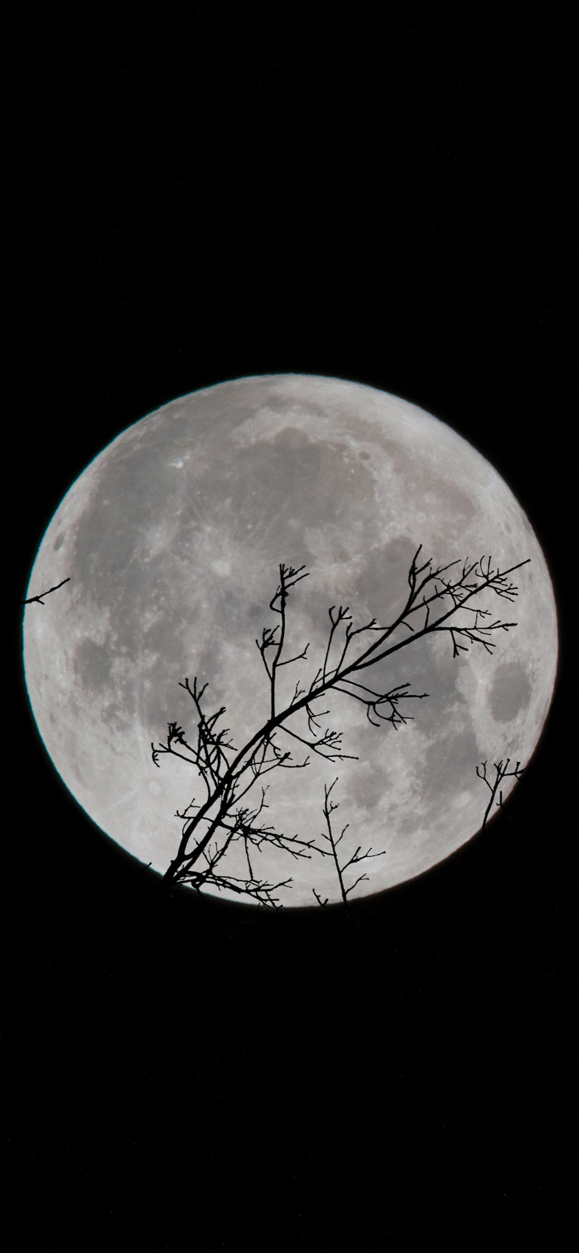 Moon Wallpaper for iPhone 11, Pro Max