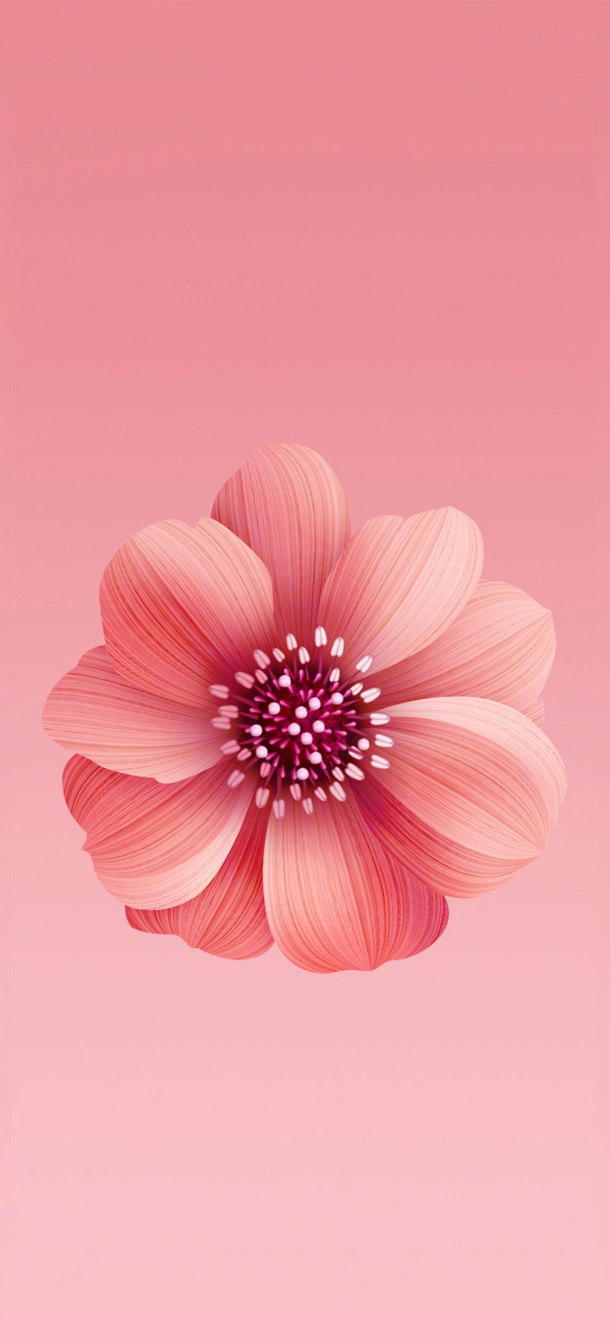 Pink Flower Illustration Digital Art
