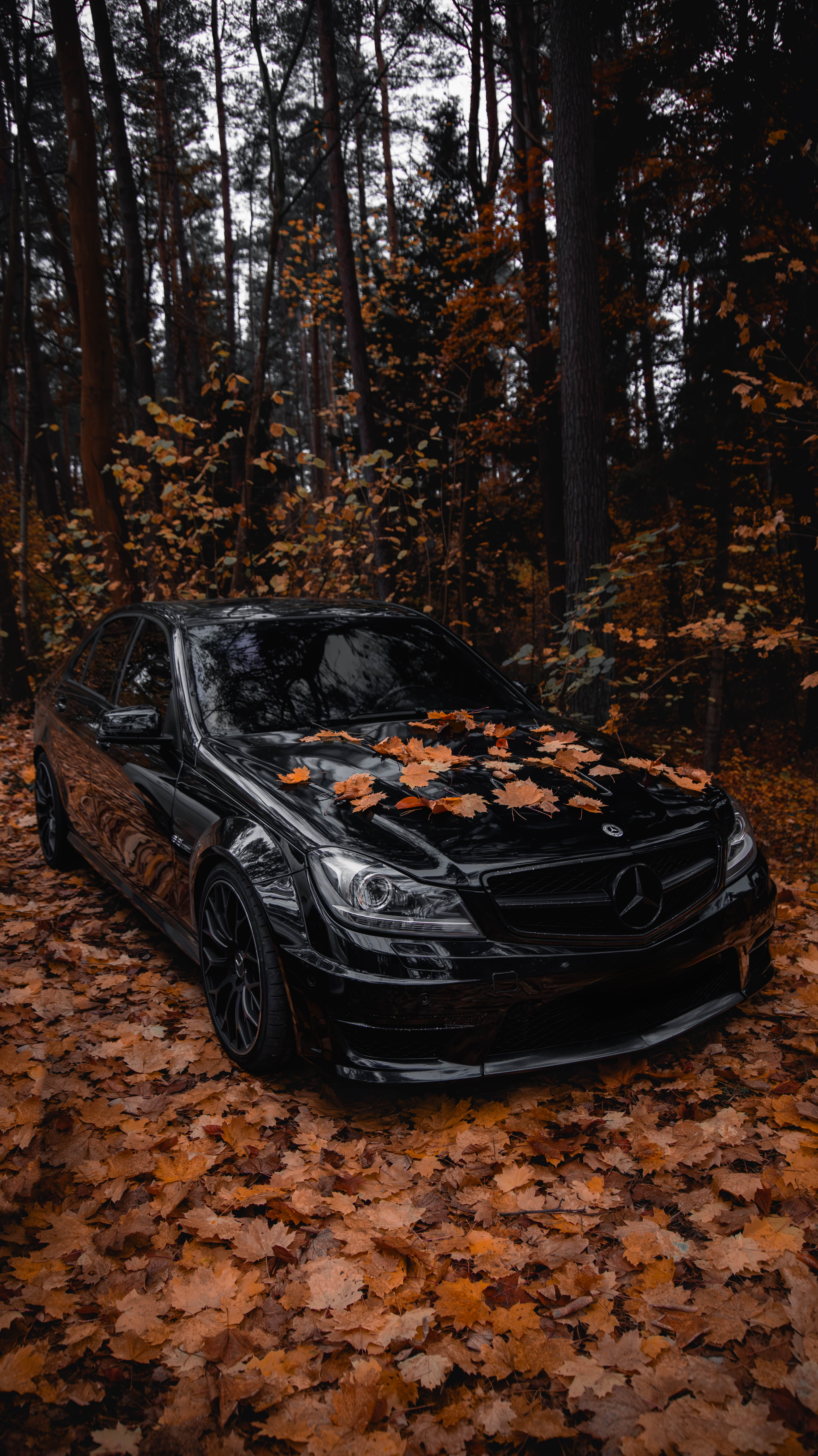 3X C63 in the autumn leaves ;