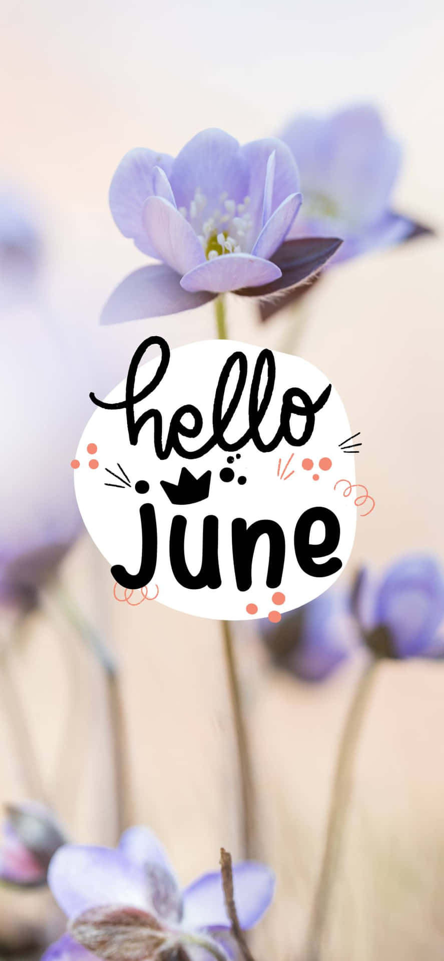 Hello June Wallpaper Wallpaper