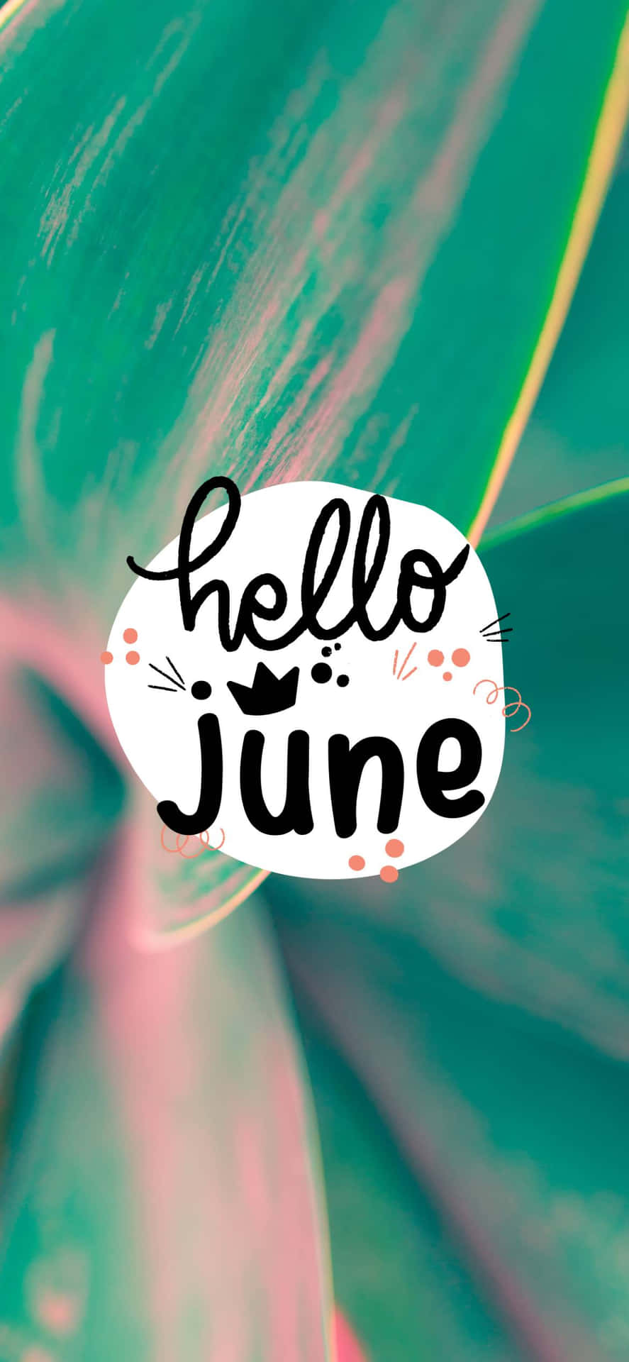Download Welcoming June, Embrace