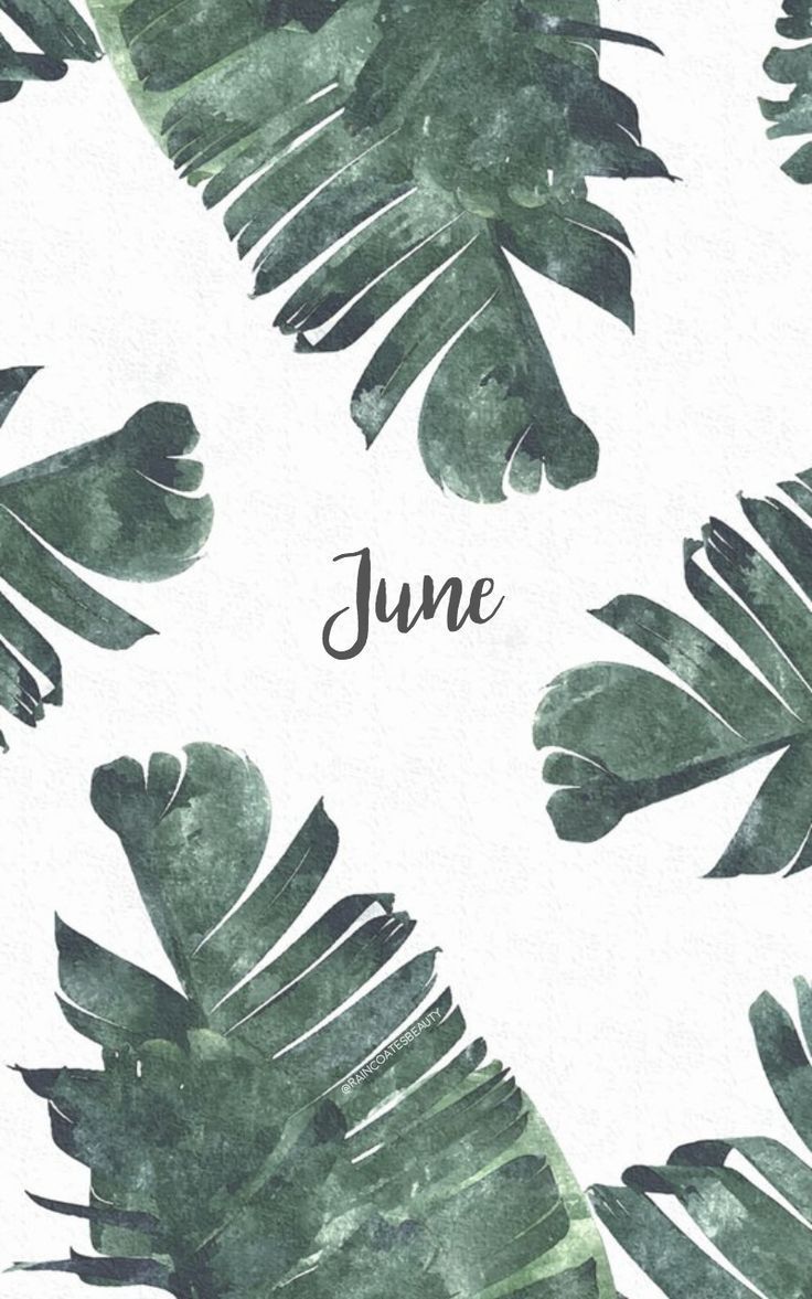 June Aesthetic Wallpaper