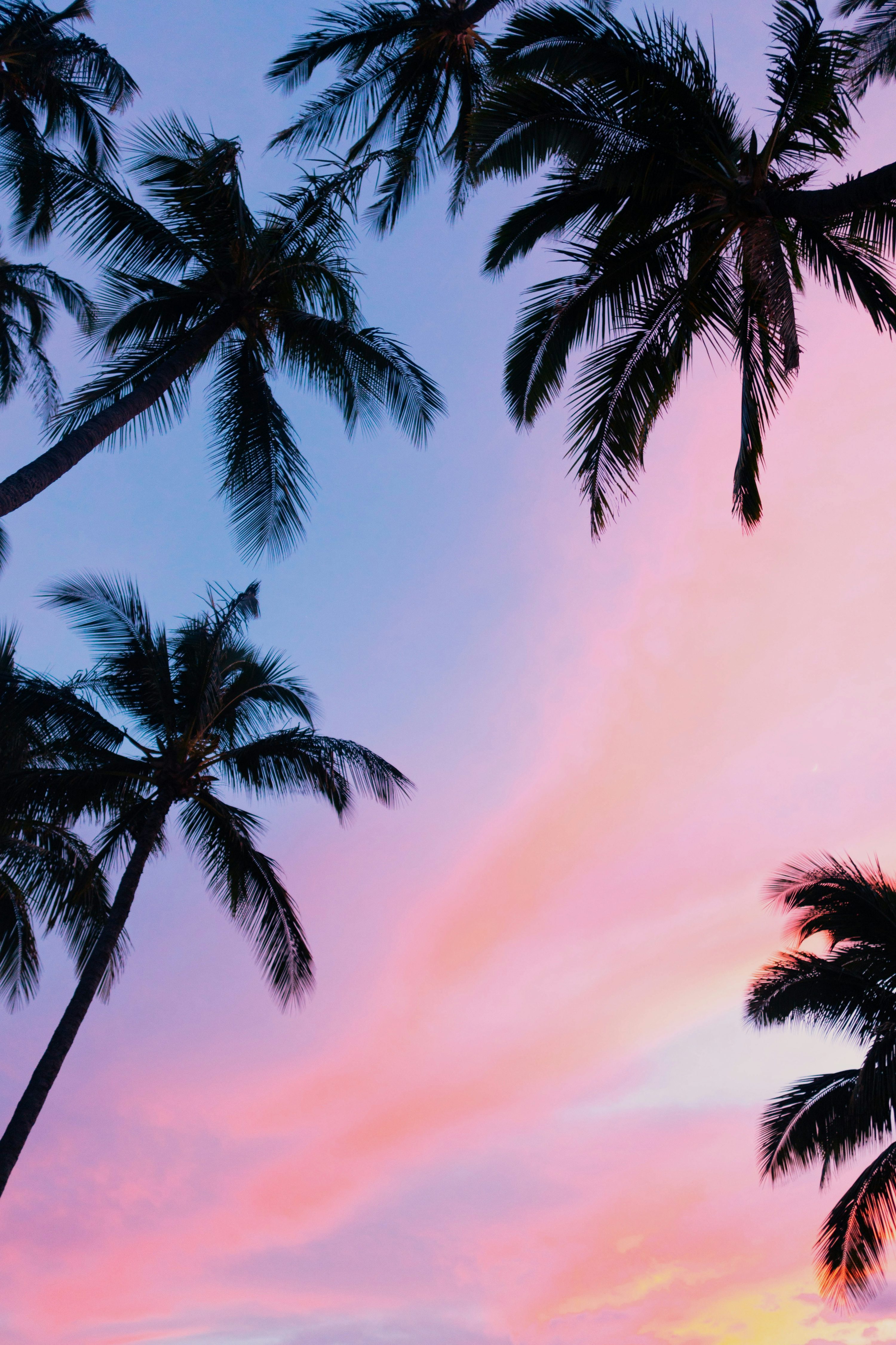 iPhone Wallpaper. best free