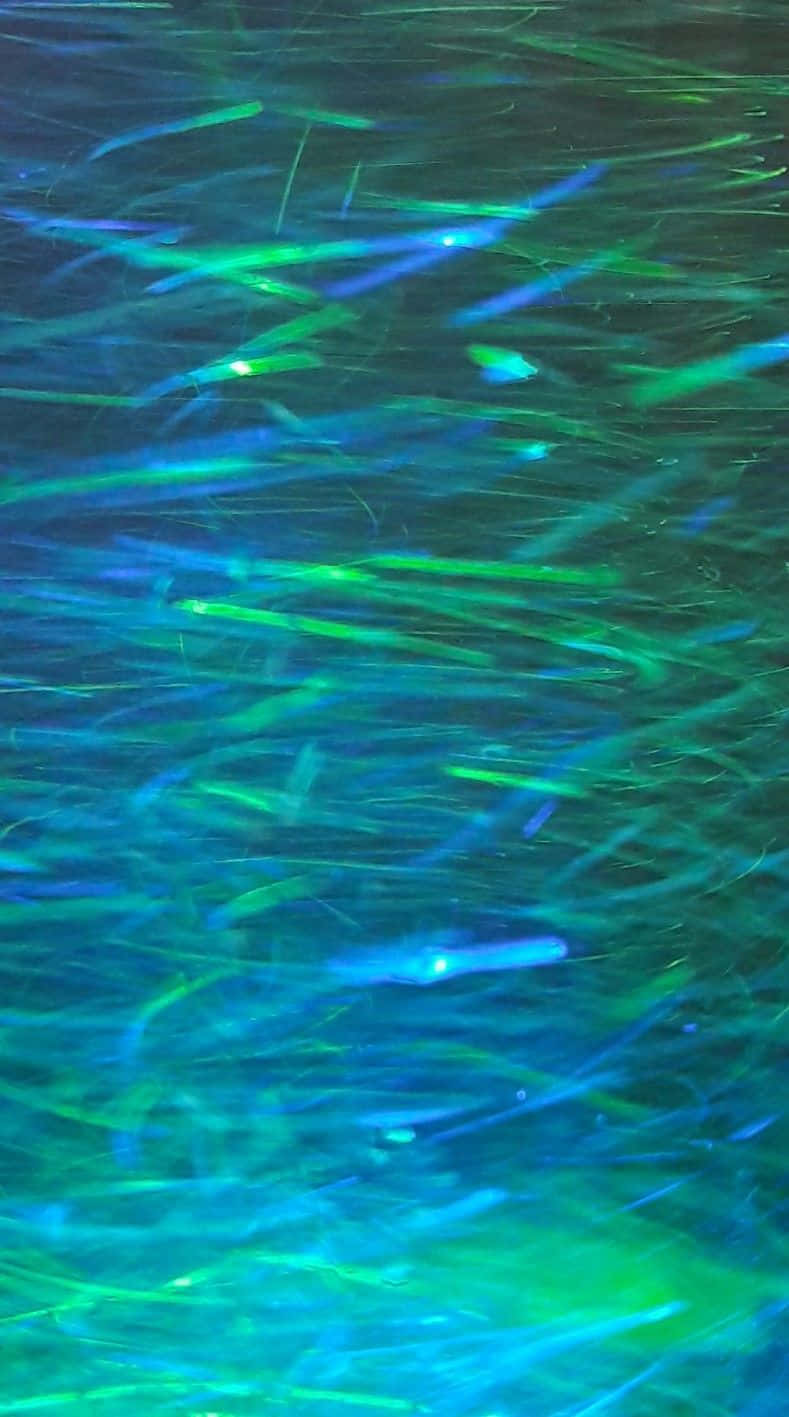 Blue Green Aesthetic Wallpaper