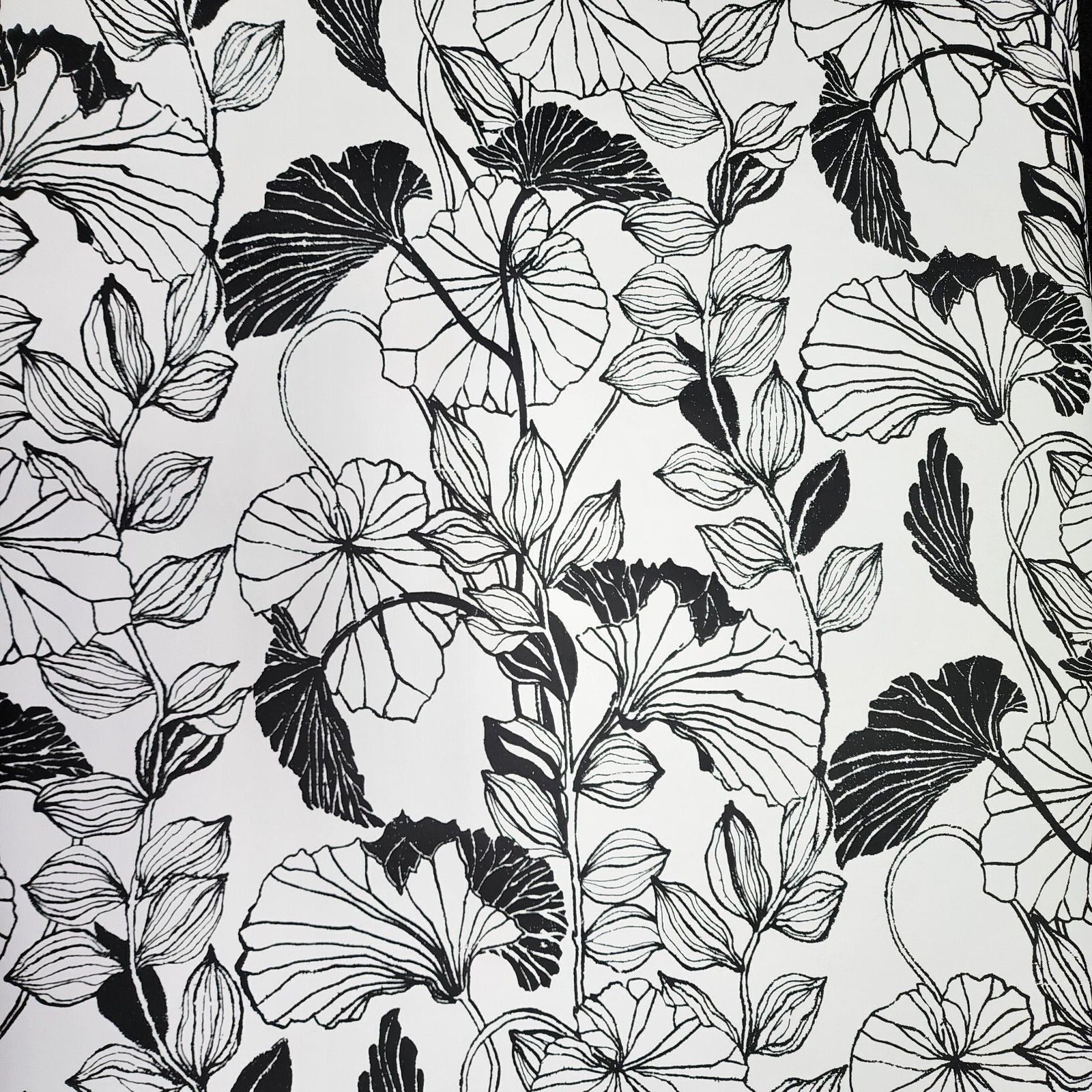 Modern Floral Black & White Leaf Outline plants contemporary Wallpaper FP2660