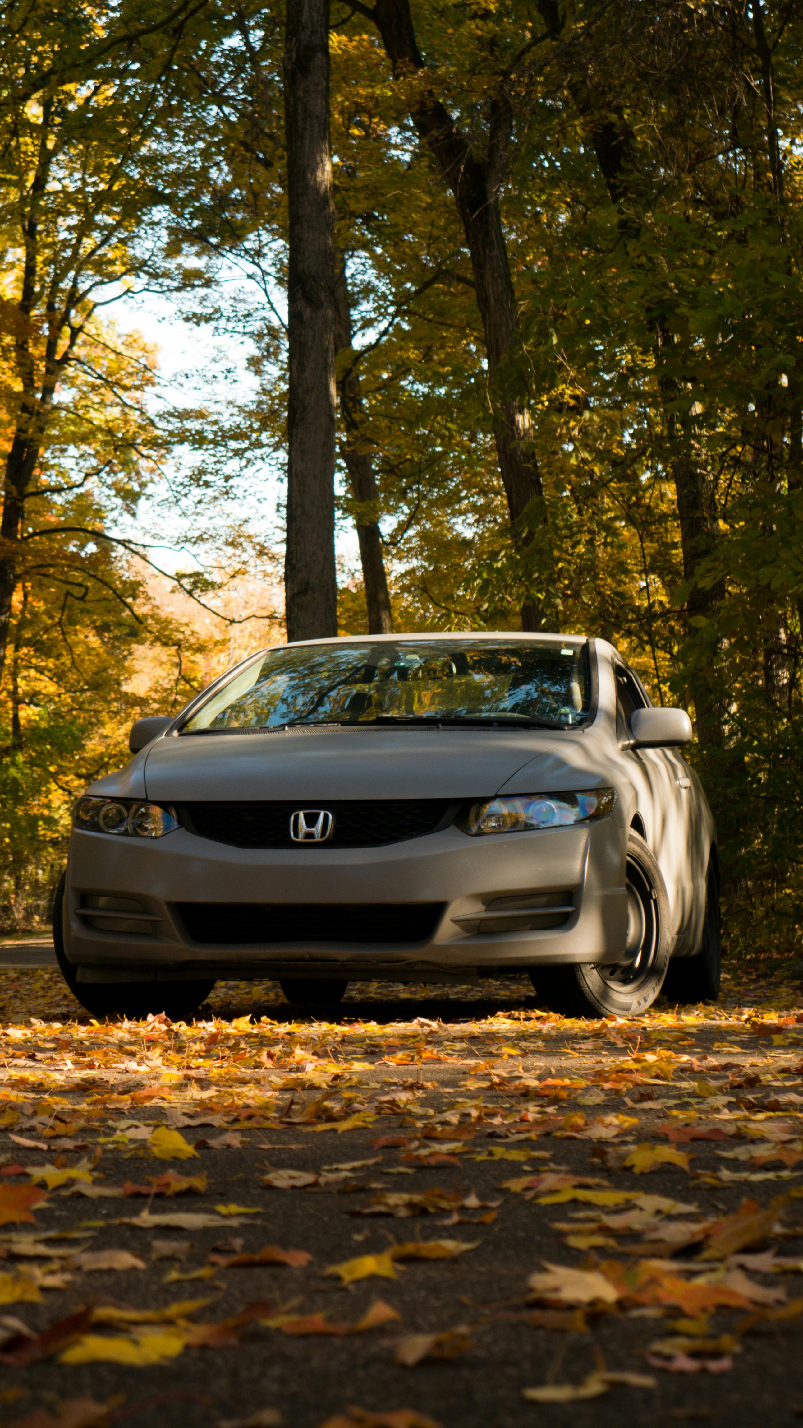 Gray Honda Civic in Park · Free