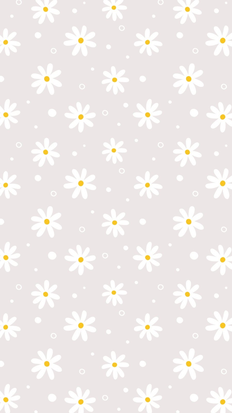 daisy wallpaper