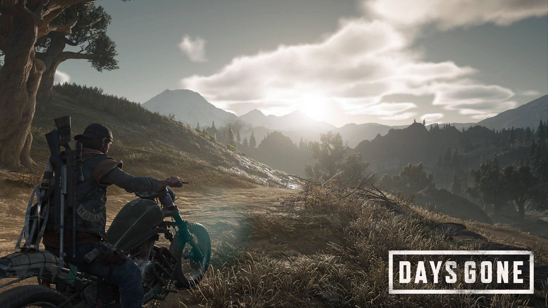 Days Gone Wallpaper