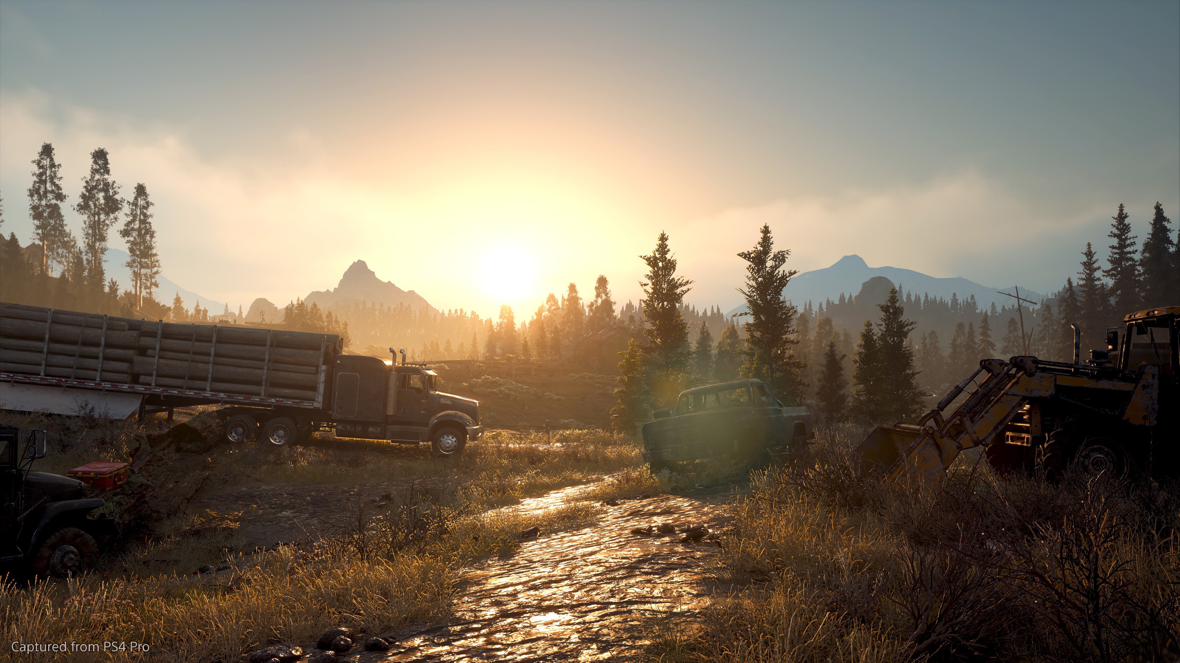 game, game, screenshot, Days Gone