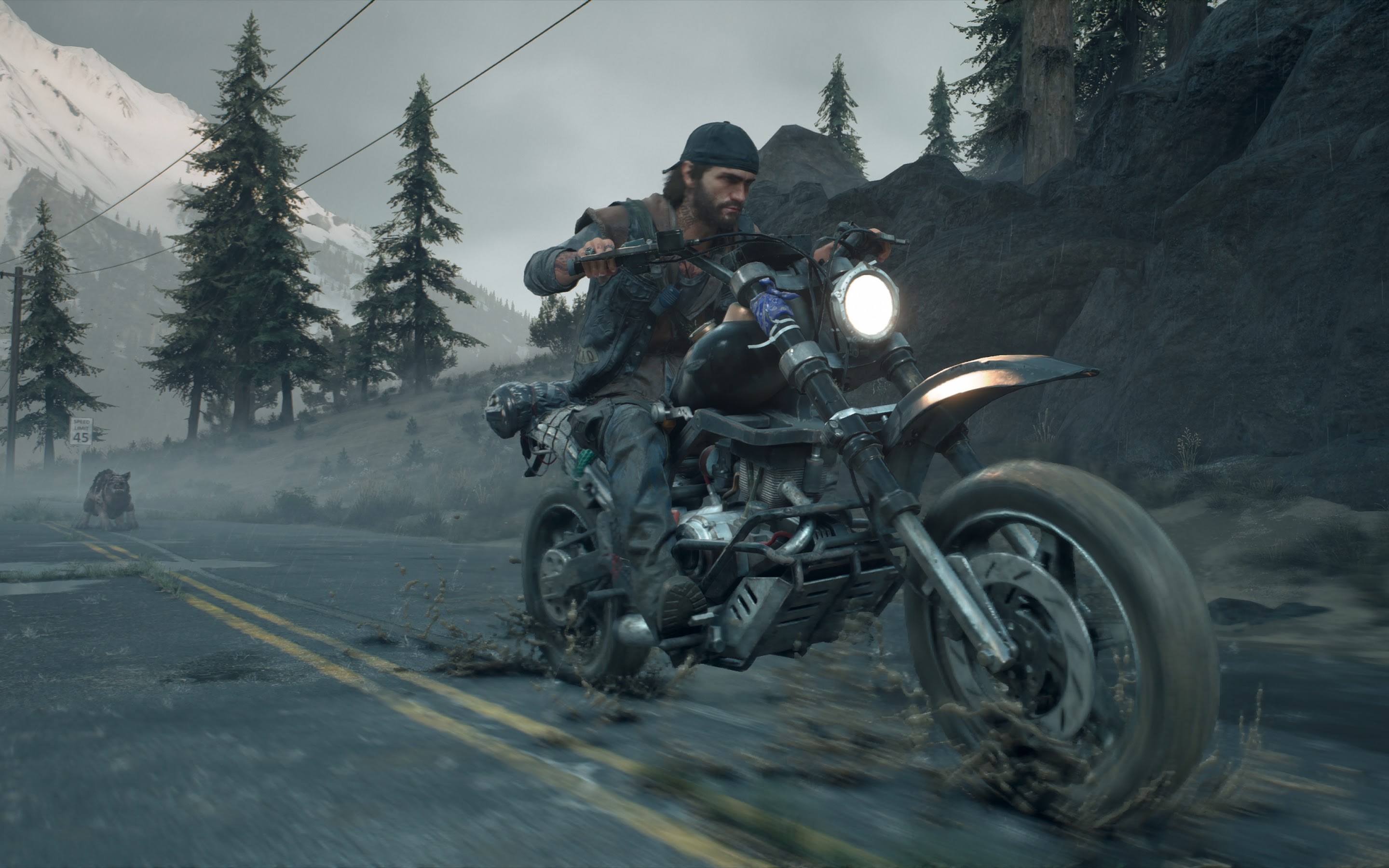 Days Gone 4K Wallpaper