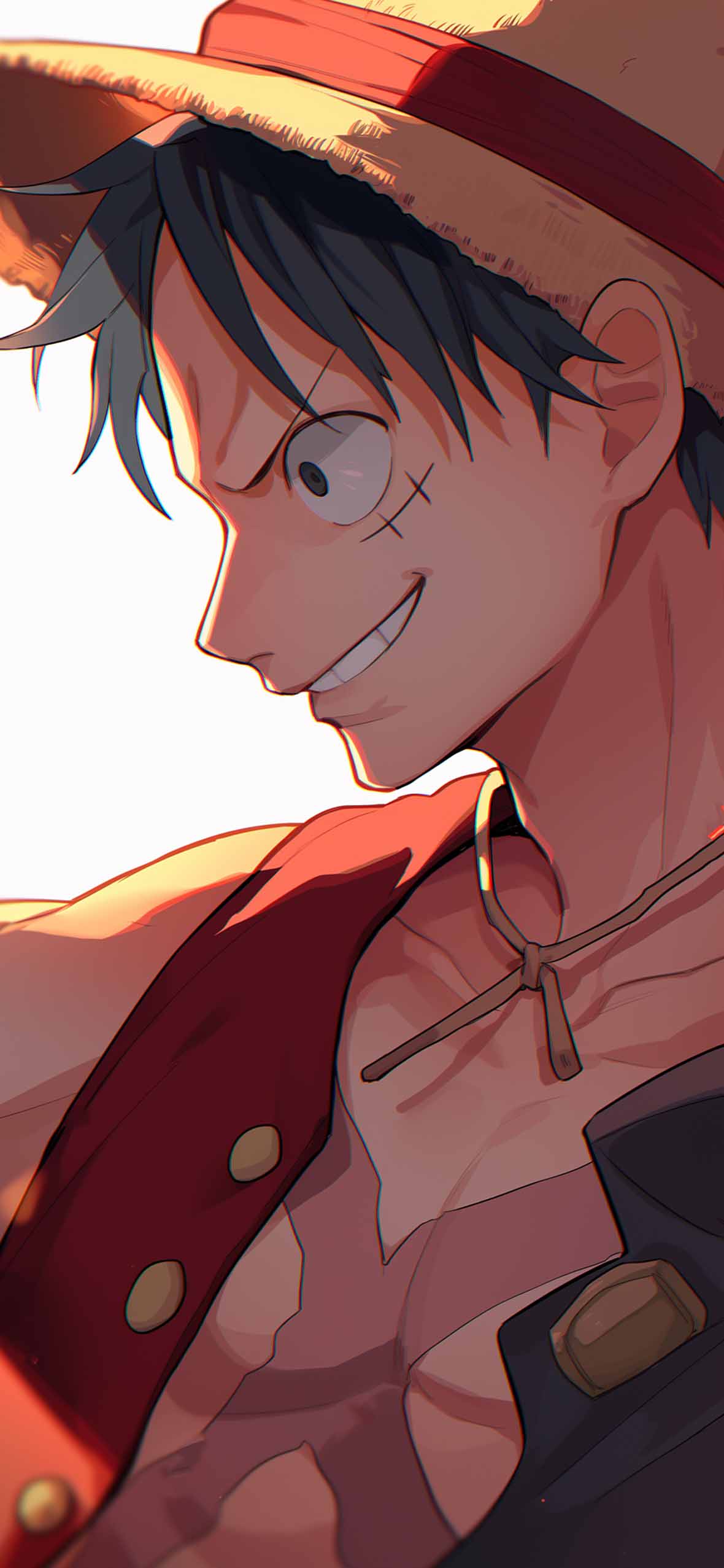 Stunning Luffy & Zoro One Piece