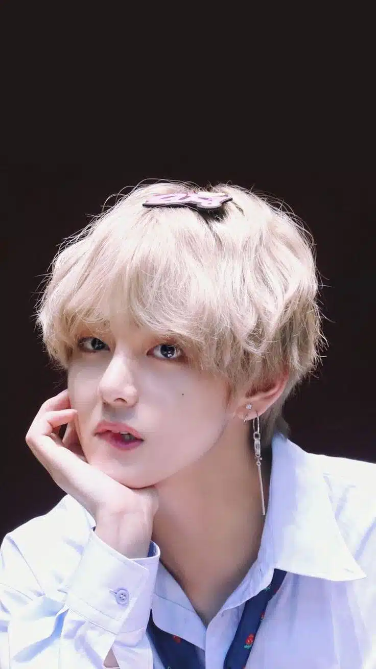 BTS V Photo 2024: New Picture