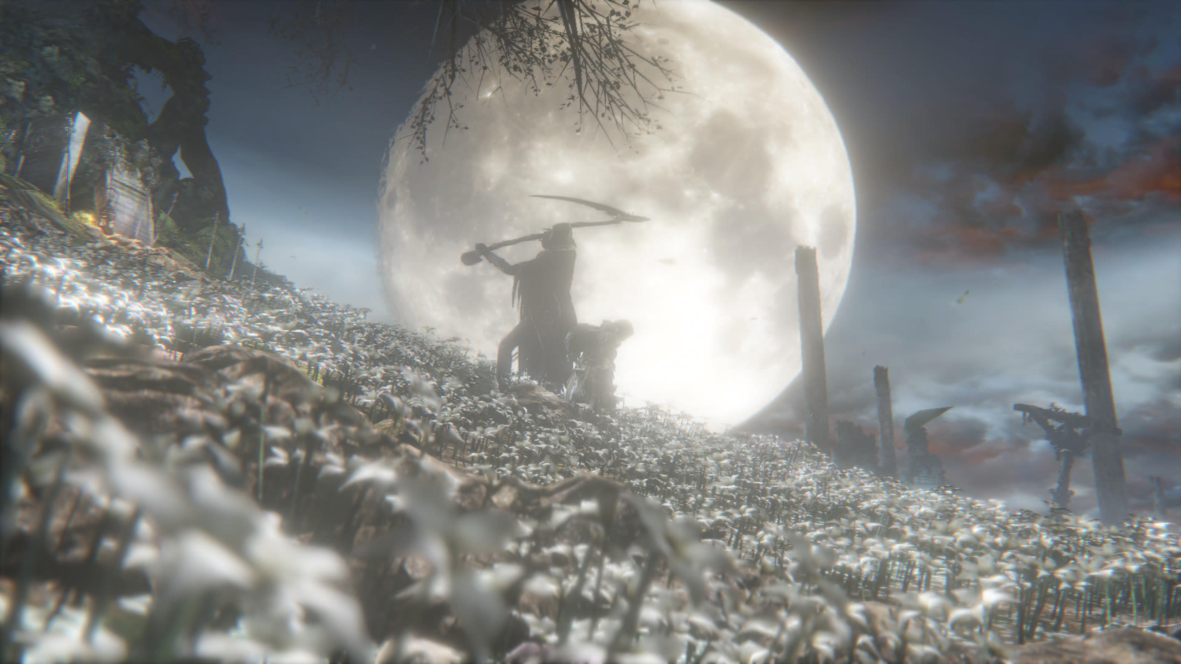 My desktop wallpaper. I love