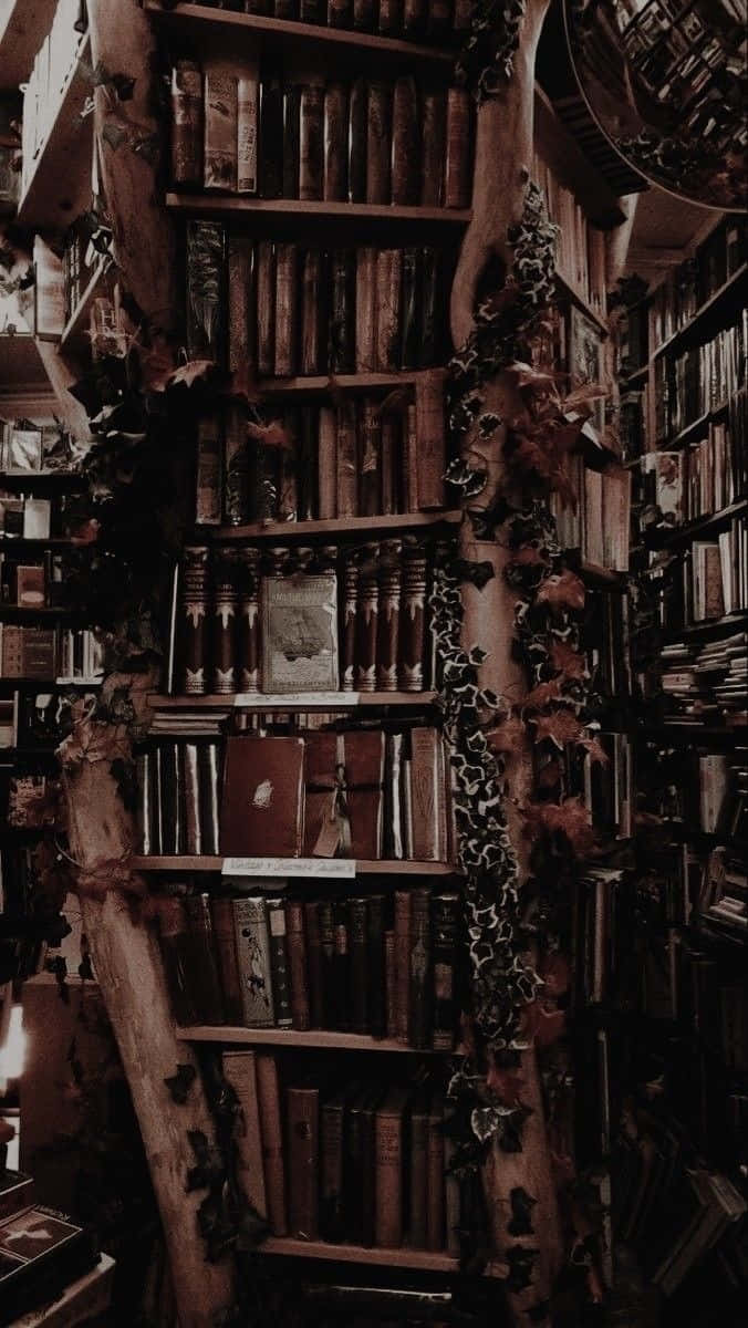 Gothic Library Wallpaper