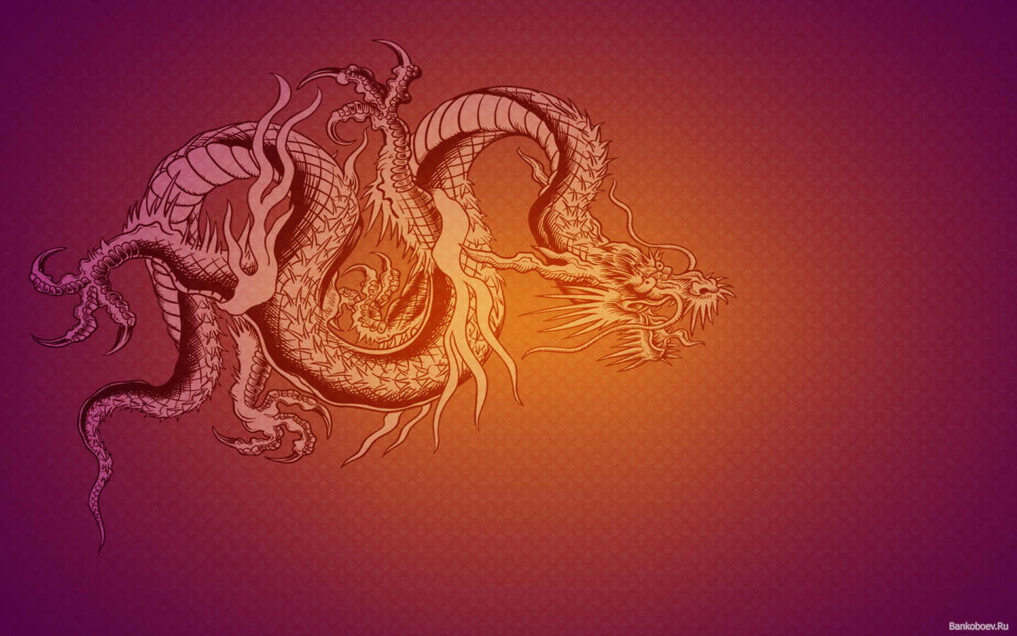 American Dragon Desktop wallpaper 1440x900