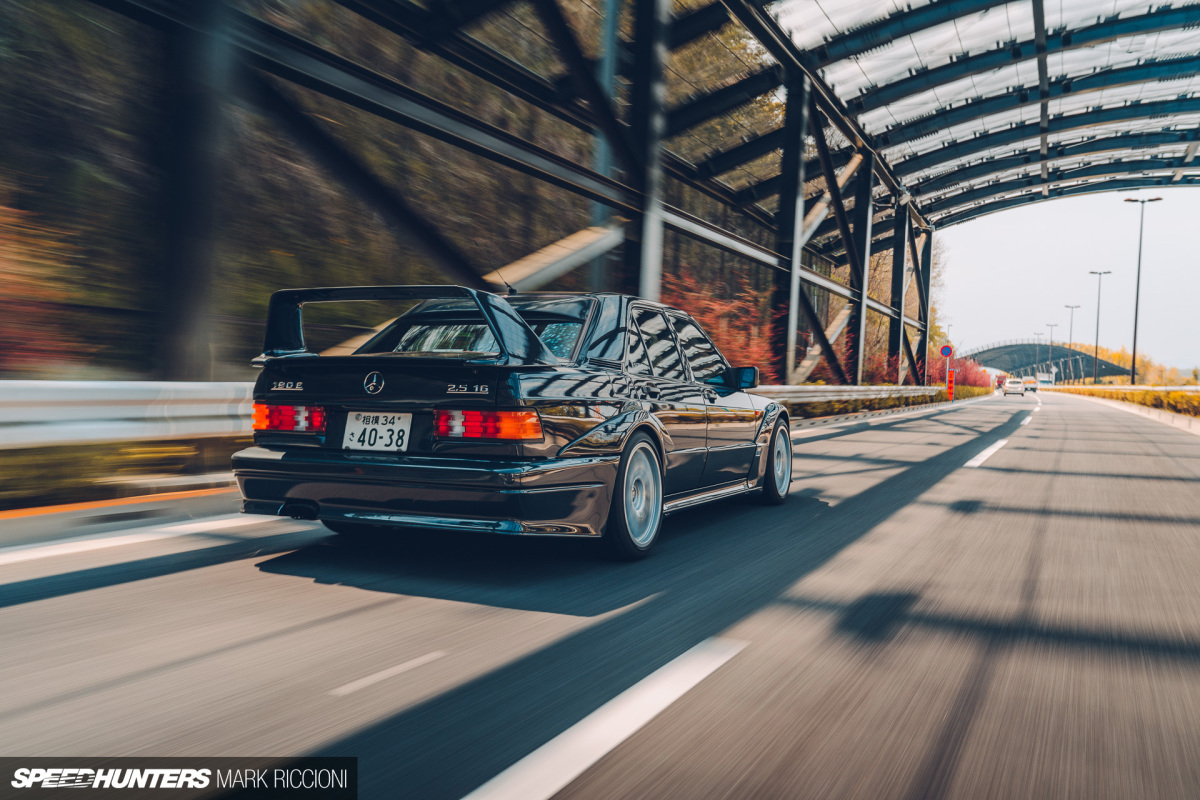 Evolution Of The DTM Species