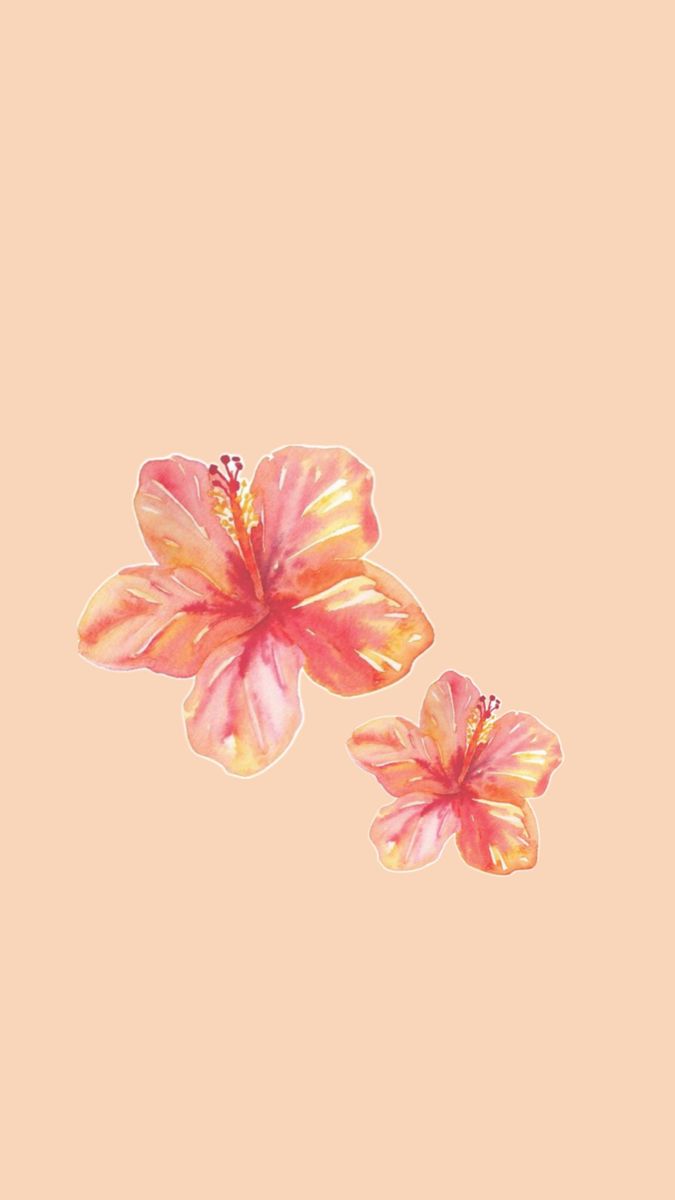 Pink and Yellow Flowers on Peach Background