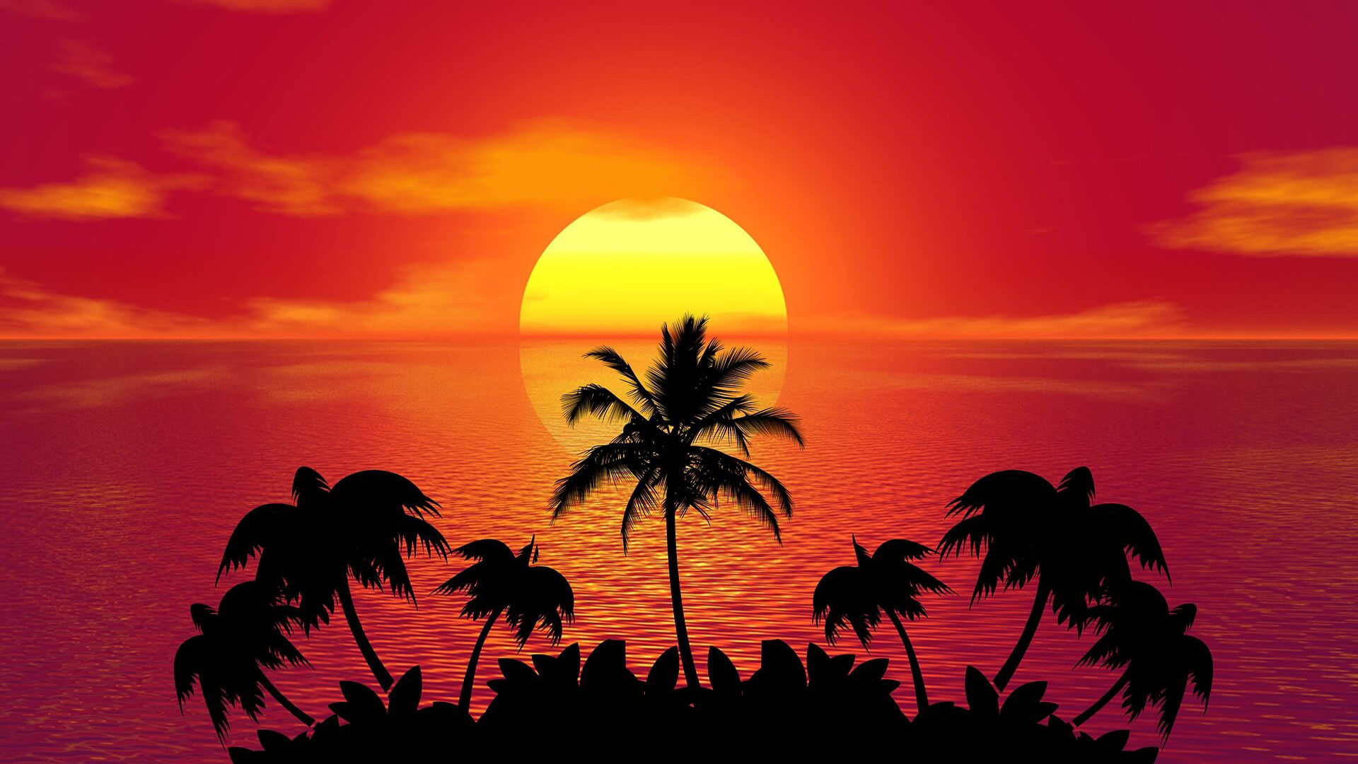 Tropical Island Summer Red Sunset Beach