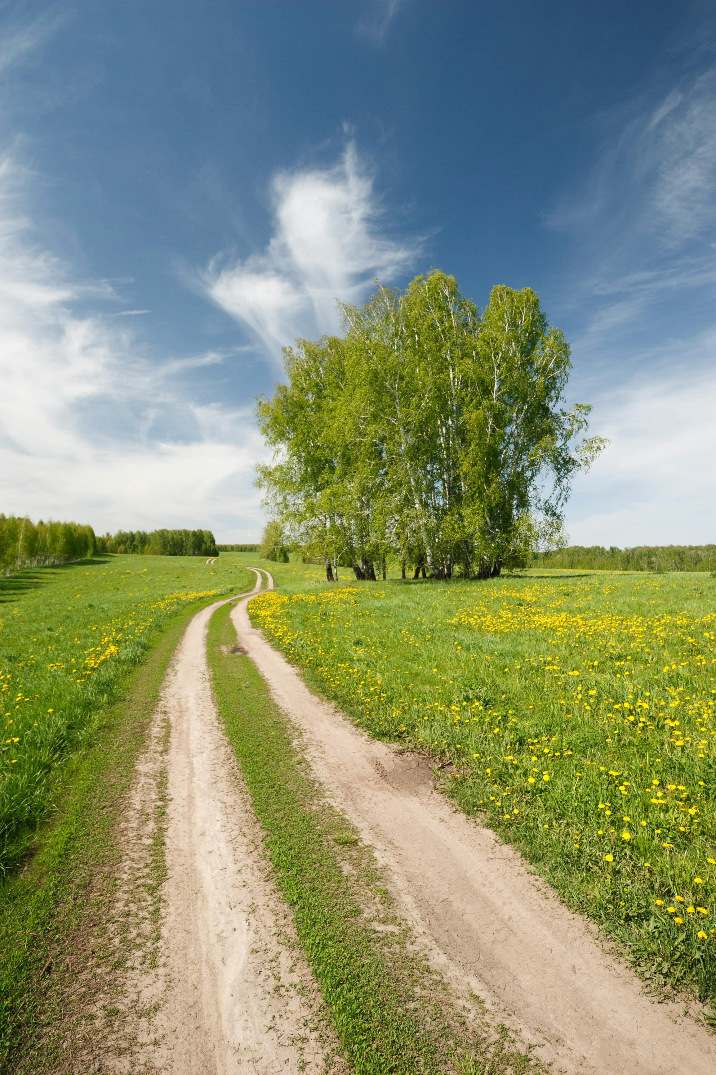 Spring Wallpaper Photo, Download